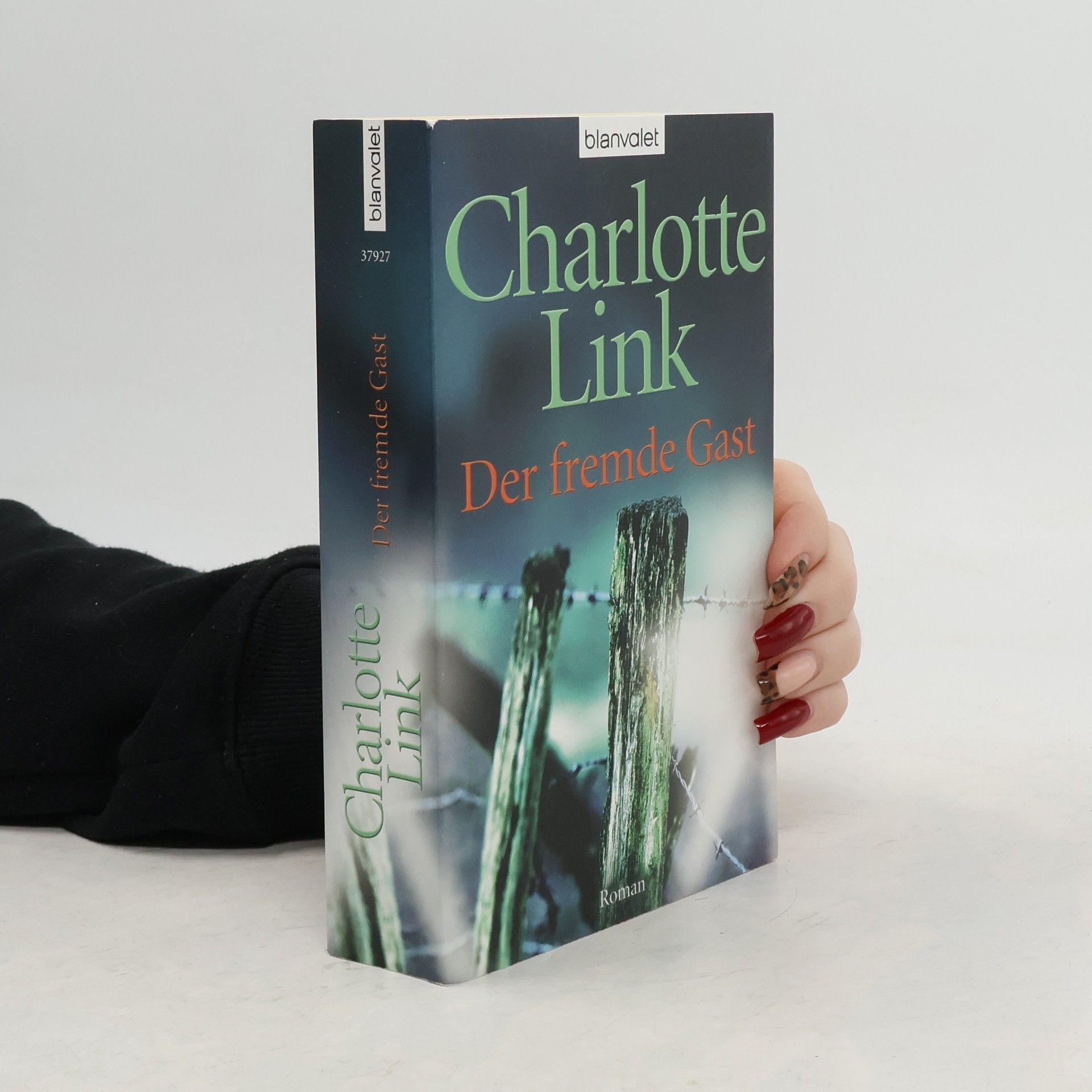 Charlotte Link Der fremde Gast