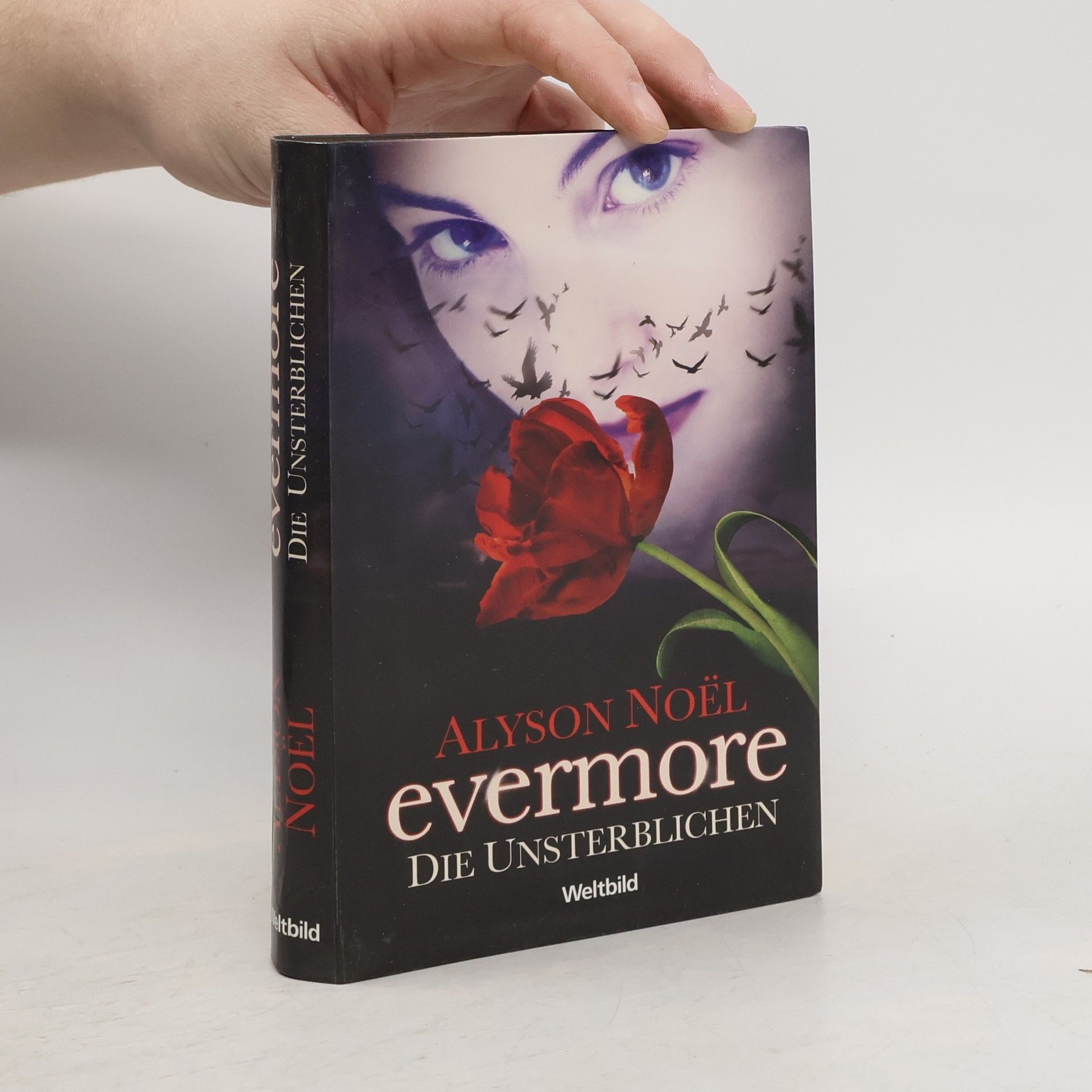 Alyson Noël Evermore, die Unsterblichen