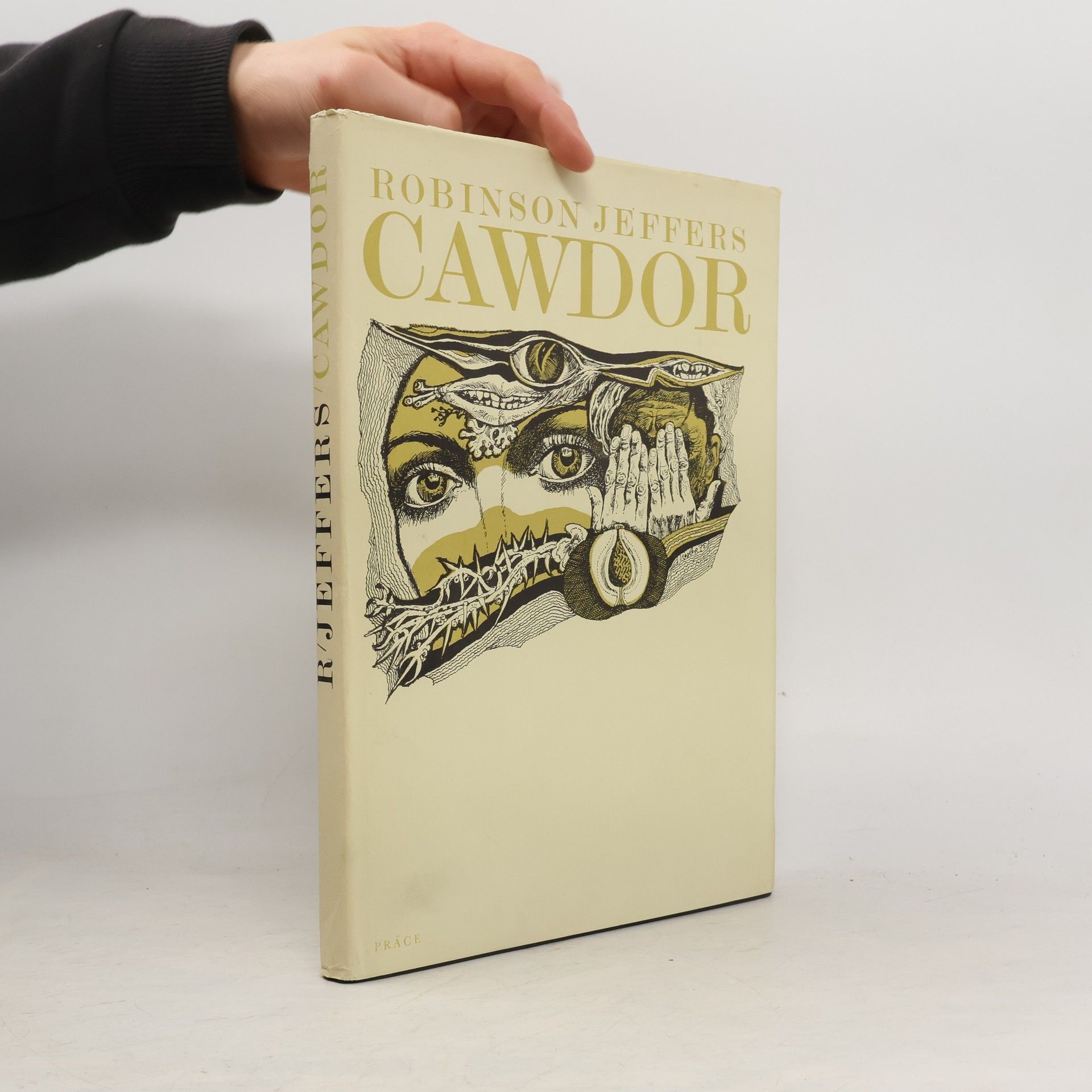 Robinson Jeffers Cawdor