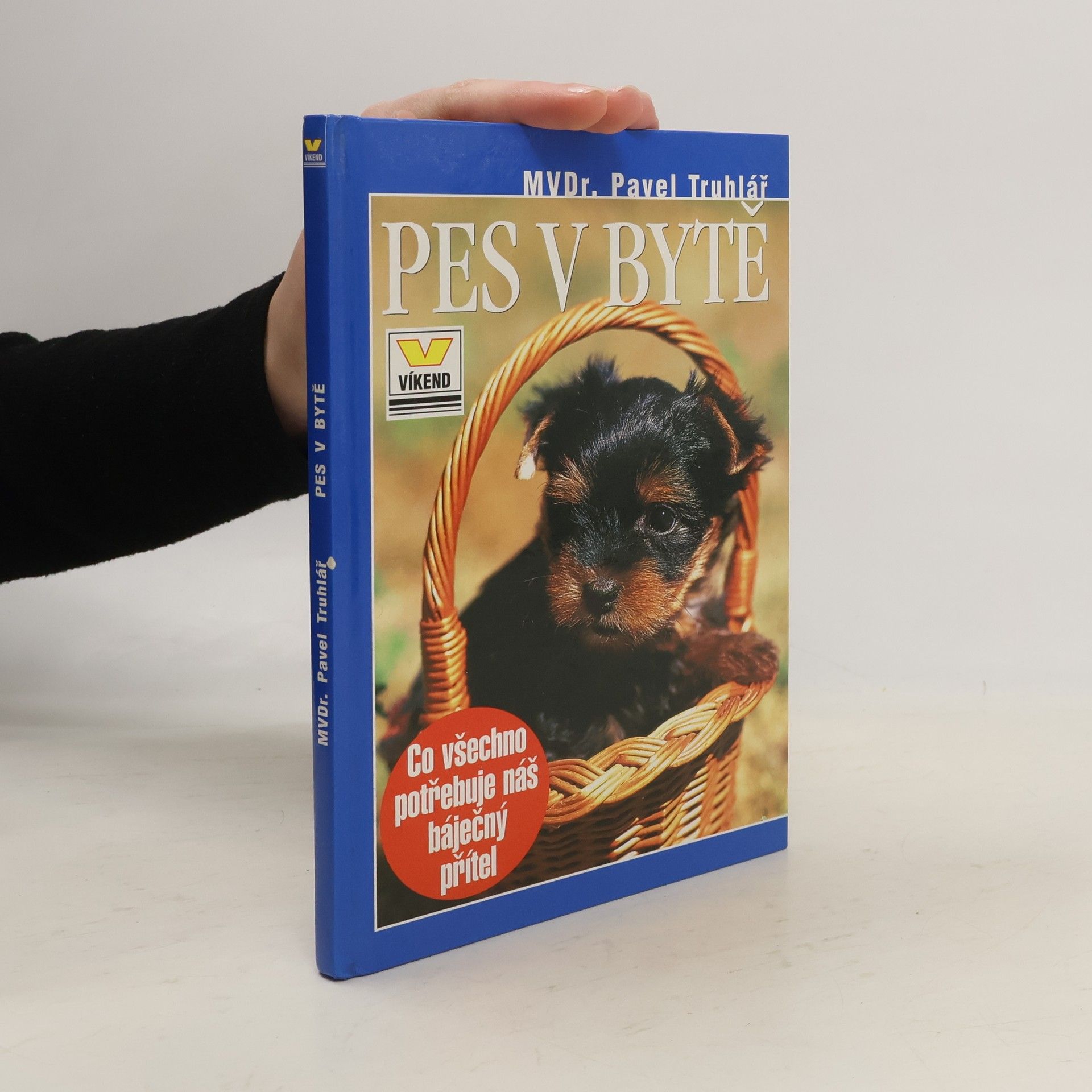 Pavel Truhlář Pes v bytě