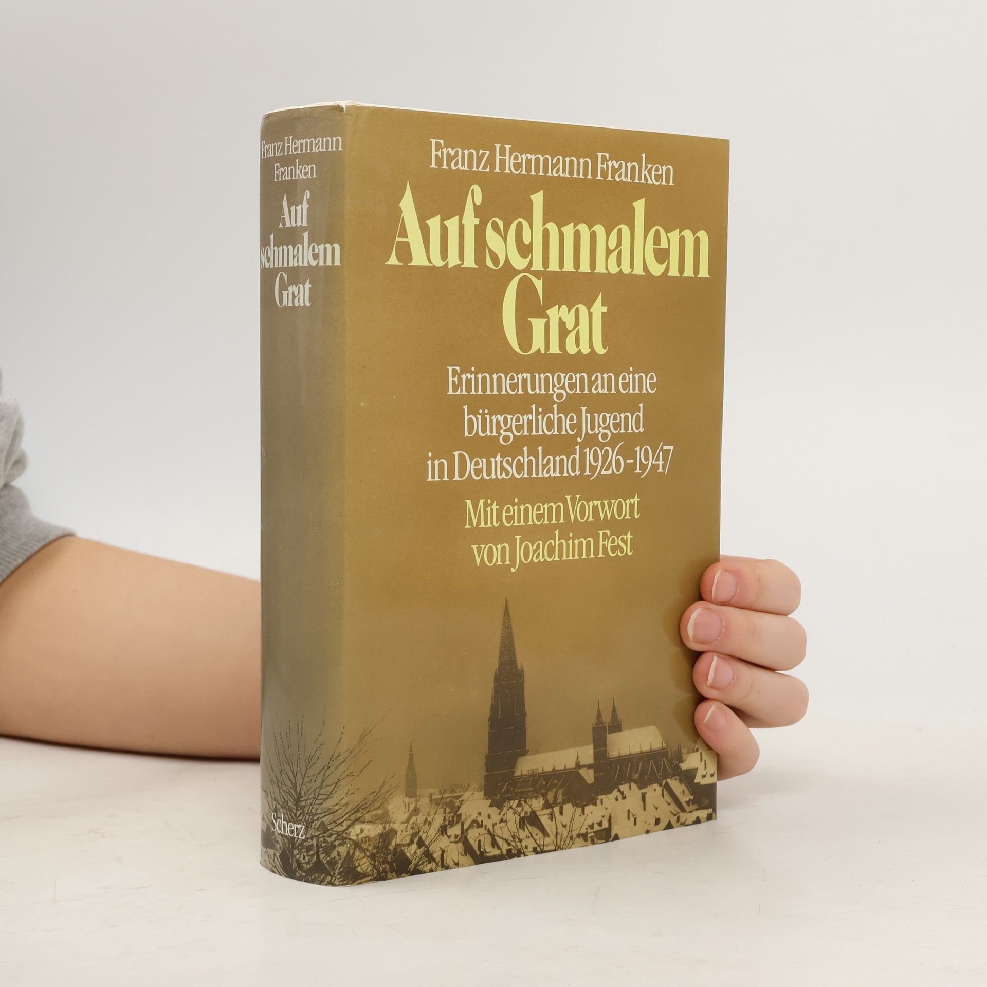 Franz Hermann Franken Auf schmalem Grat