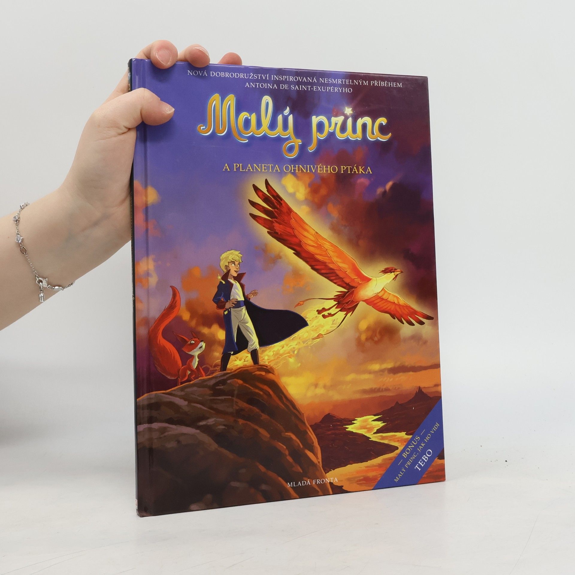 Guillaume Dorison Malý princ a planeta Ohnivého ptáka