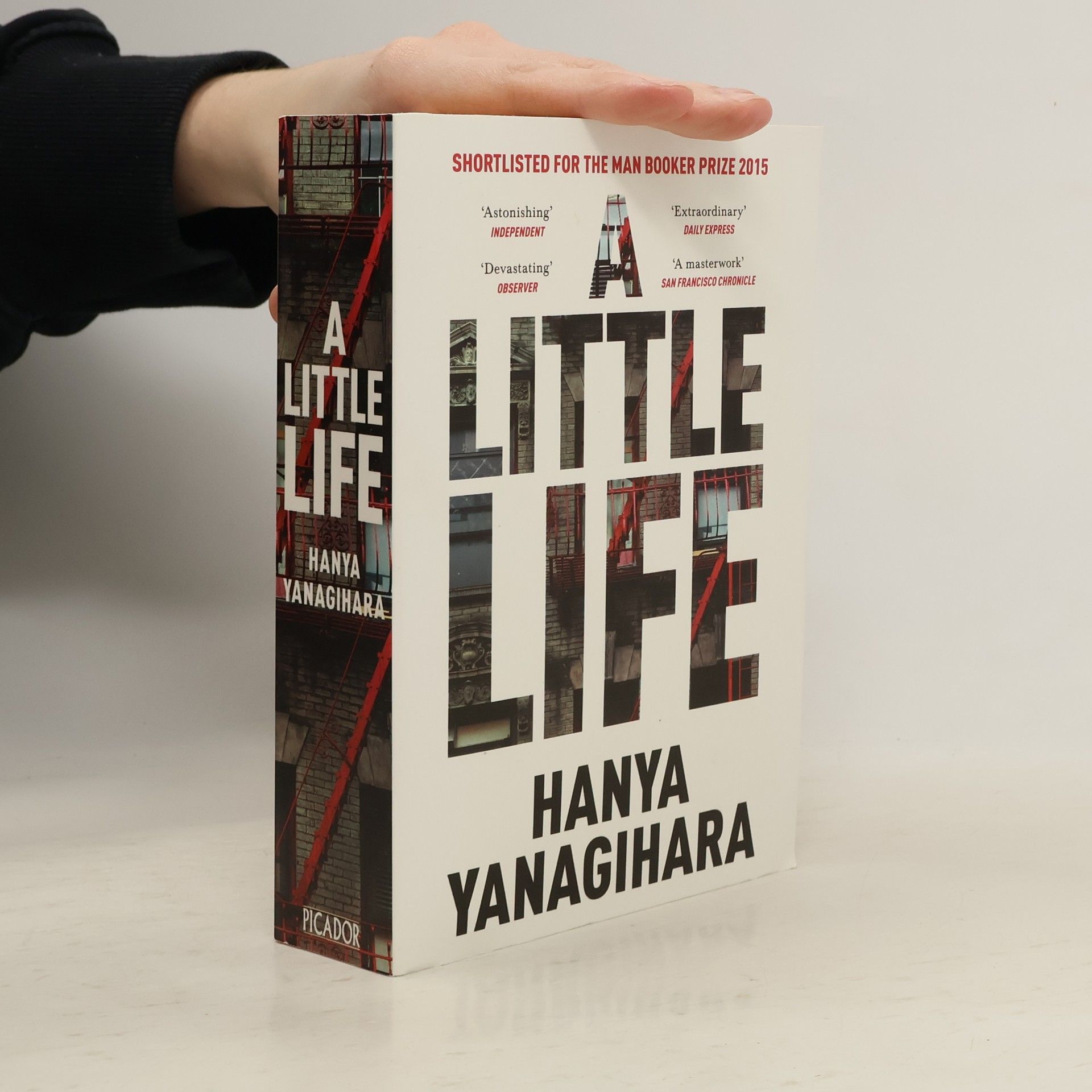 Hanya Yanagihara A Little Life