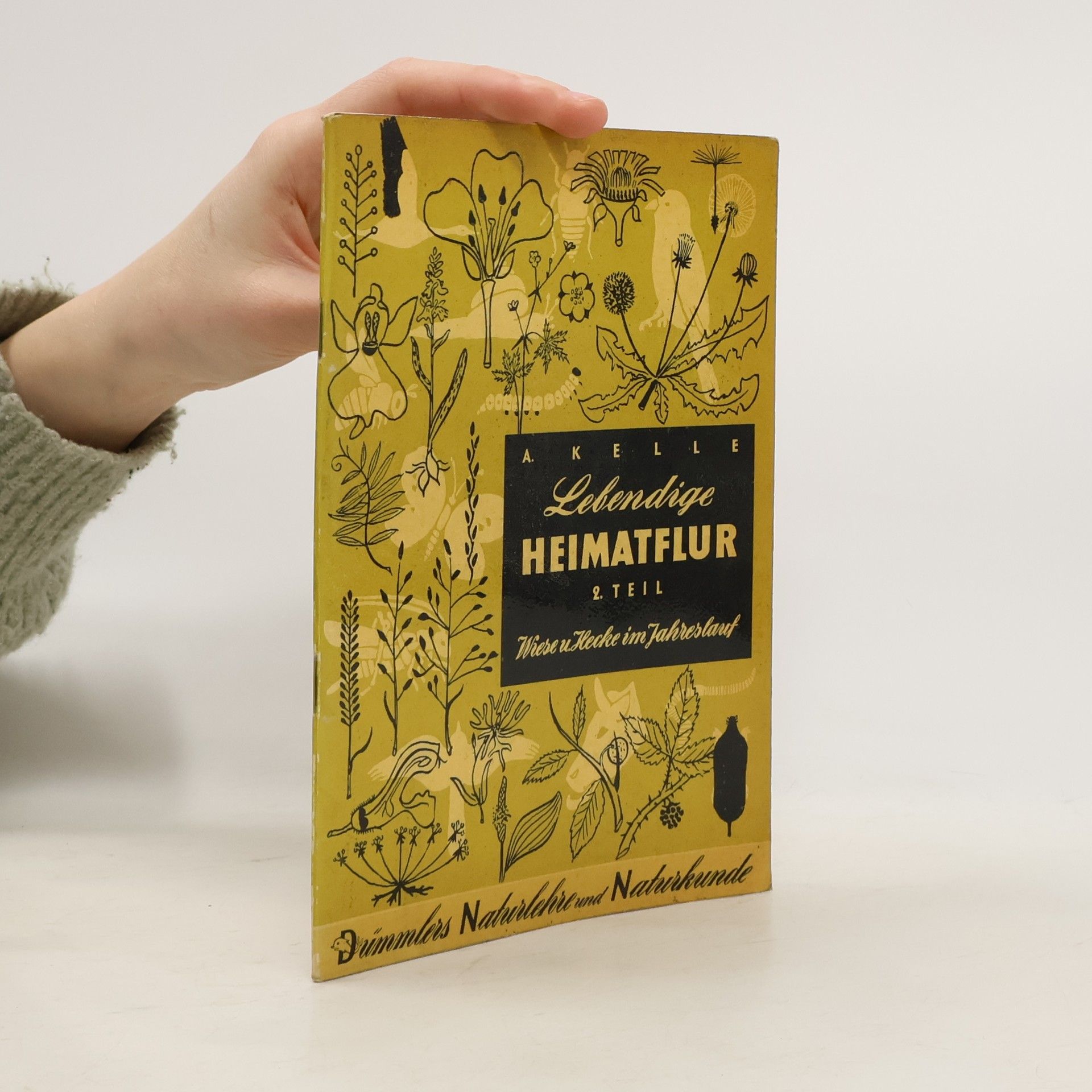 August Kelle Lebendige Heimatflur 2.
