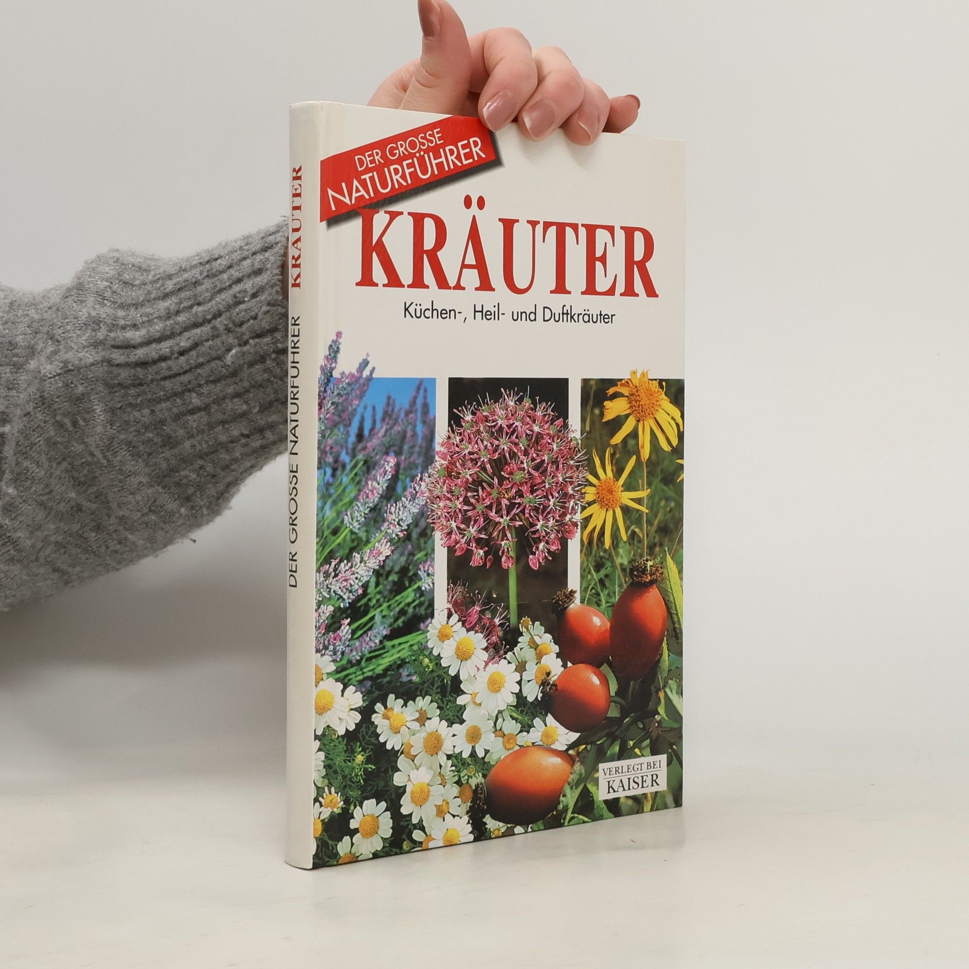 Kräuter. Küchen-, Heil- und Duftkräuter