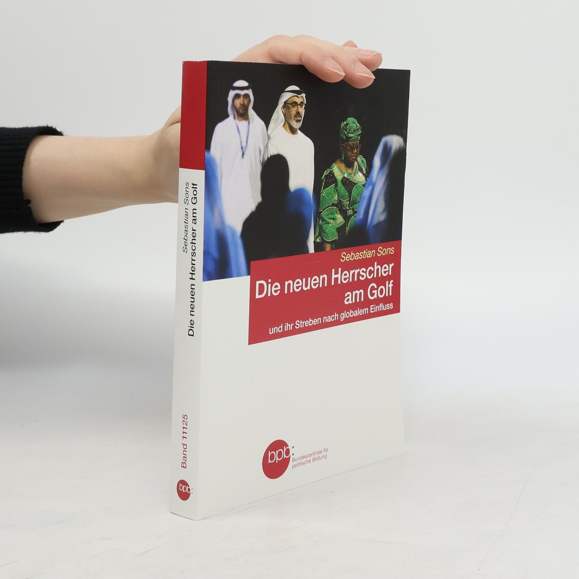 Sebastian Sons Die neuen Herrscher am Golf