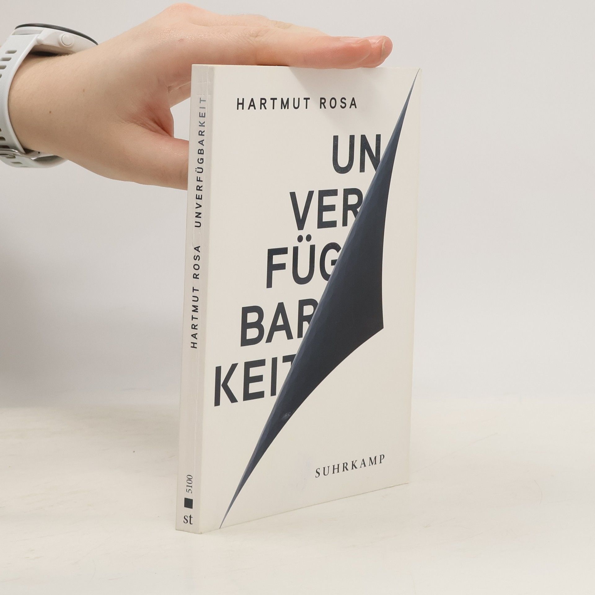 Hartmut Rosa Unverfügbarkeit