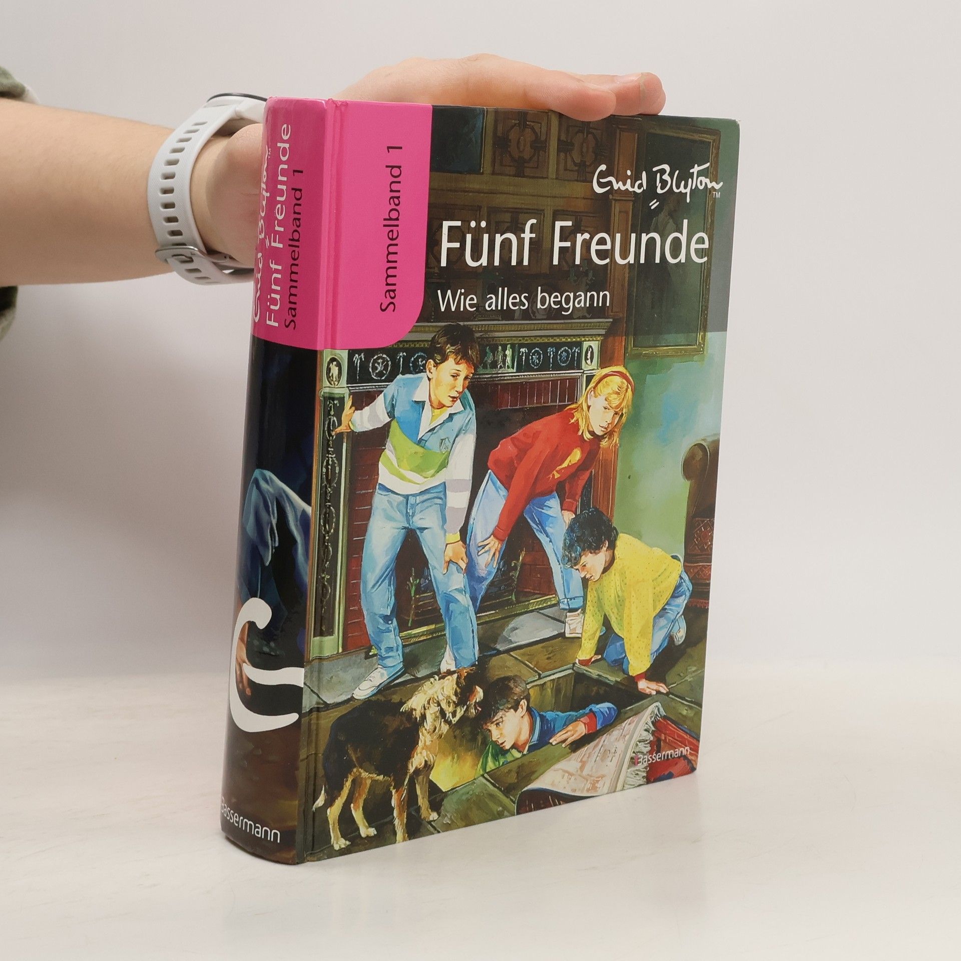 Werner Lincke Fünf Freunde: Wie alles begann