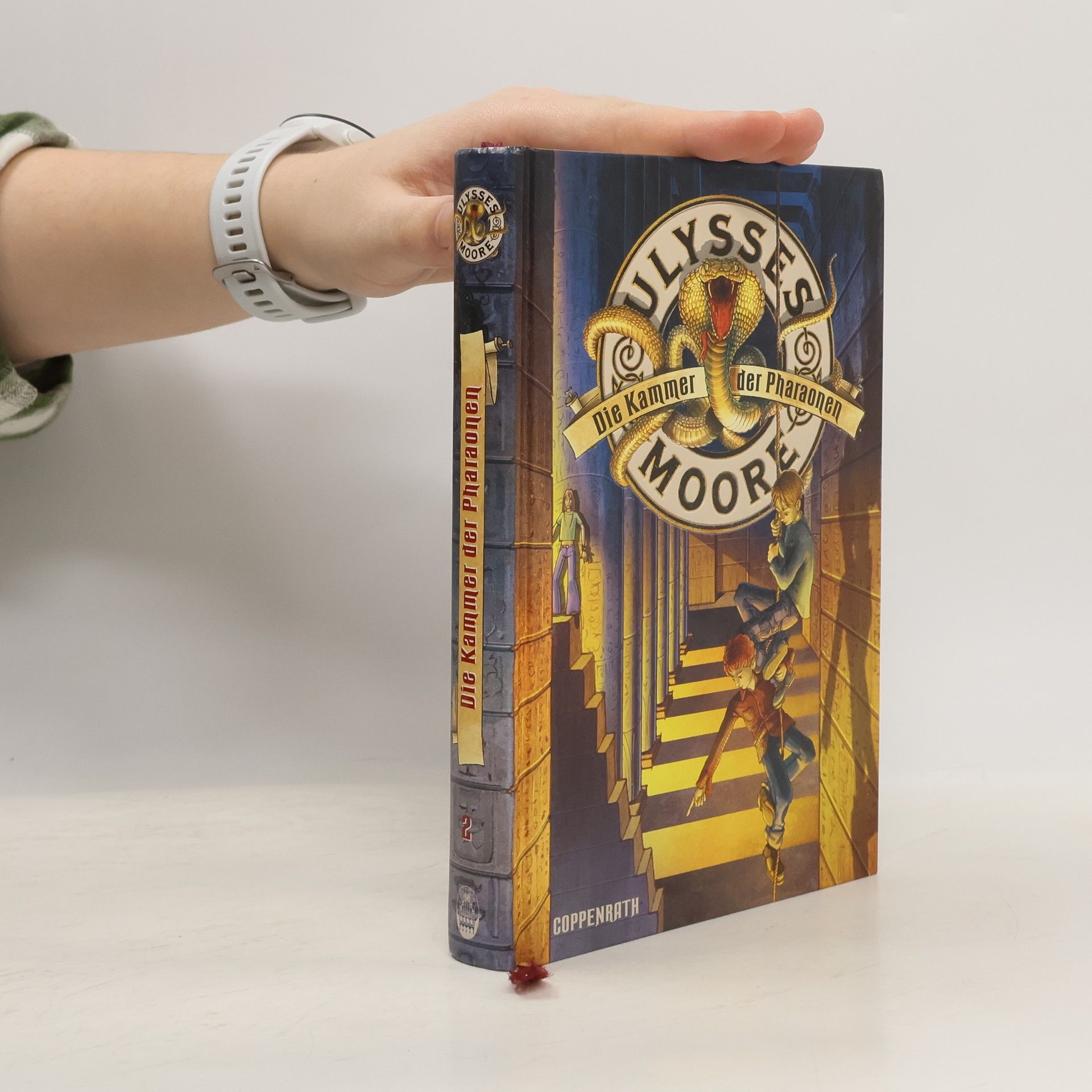 AA.VV. Die Kammer der Pharaonen 2