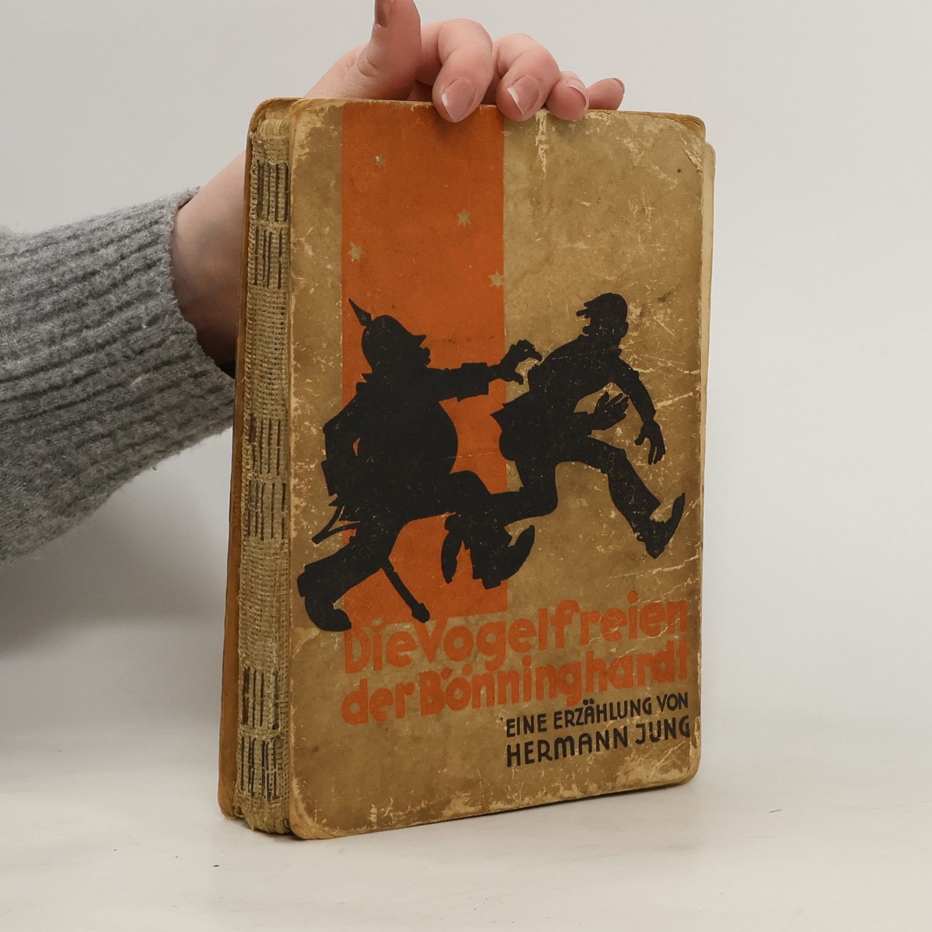 Hermann Jung Die Vogelfreien der Bönninghardt