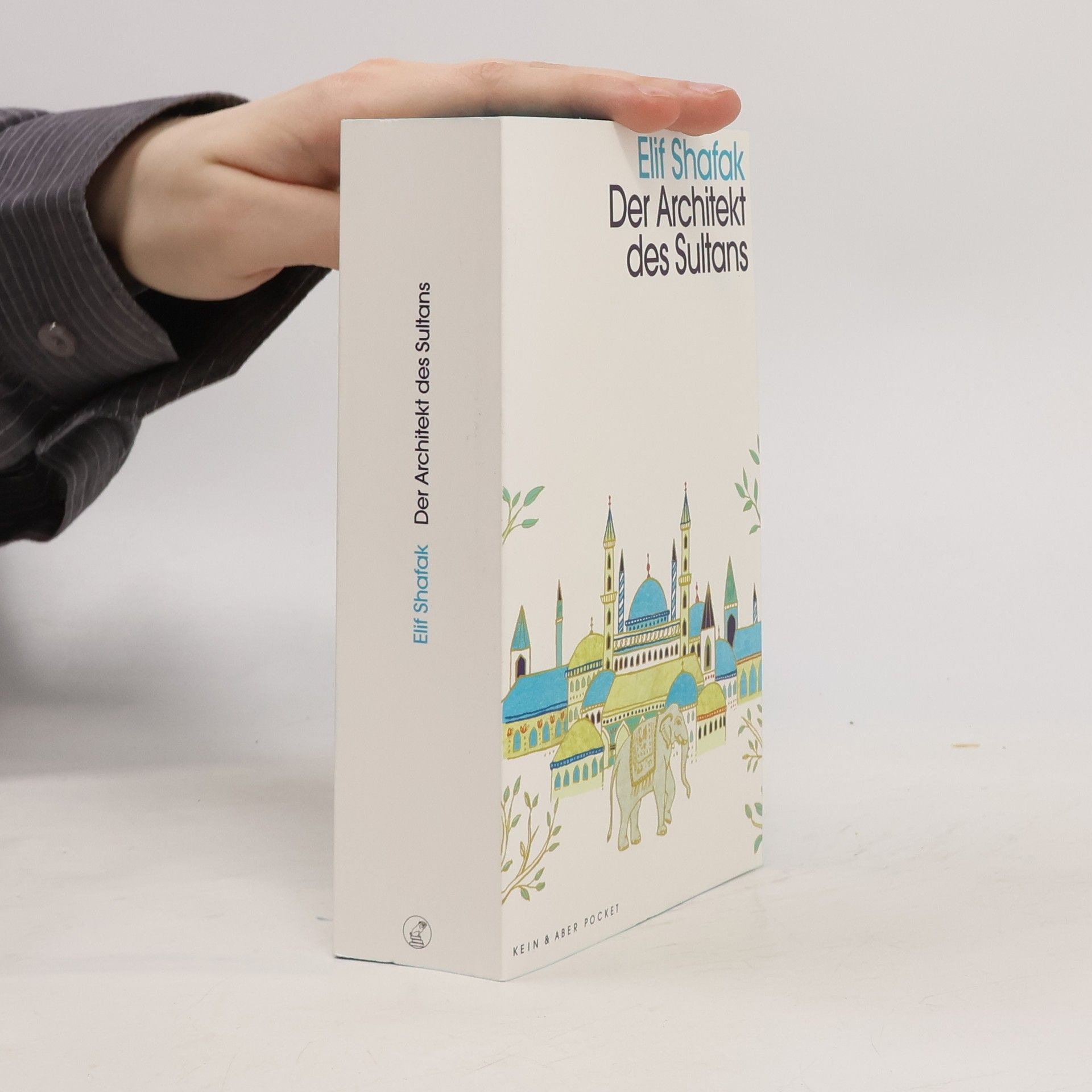 Elif Şafak Der Architekt des Sultans