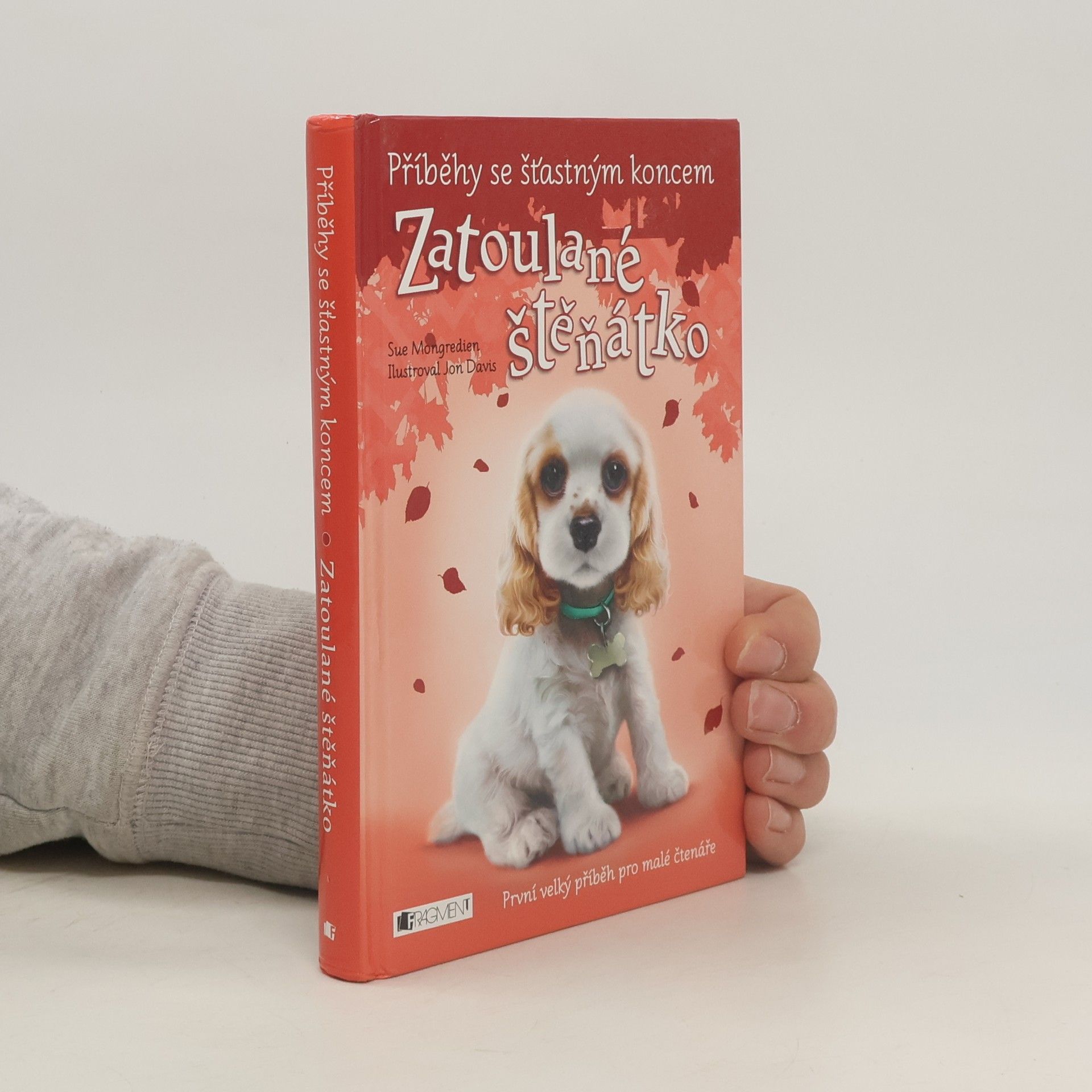 Lucy Diamond Zatoulané štěňátko