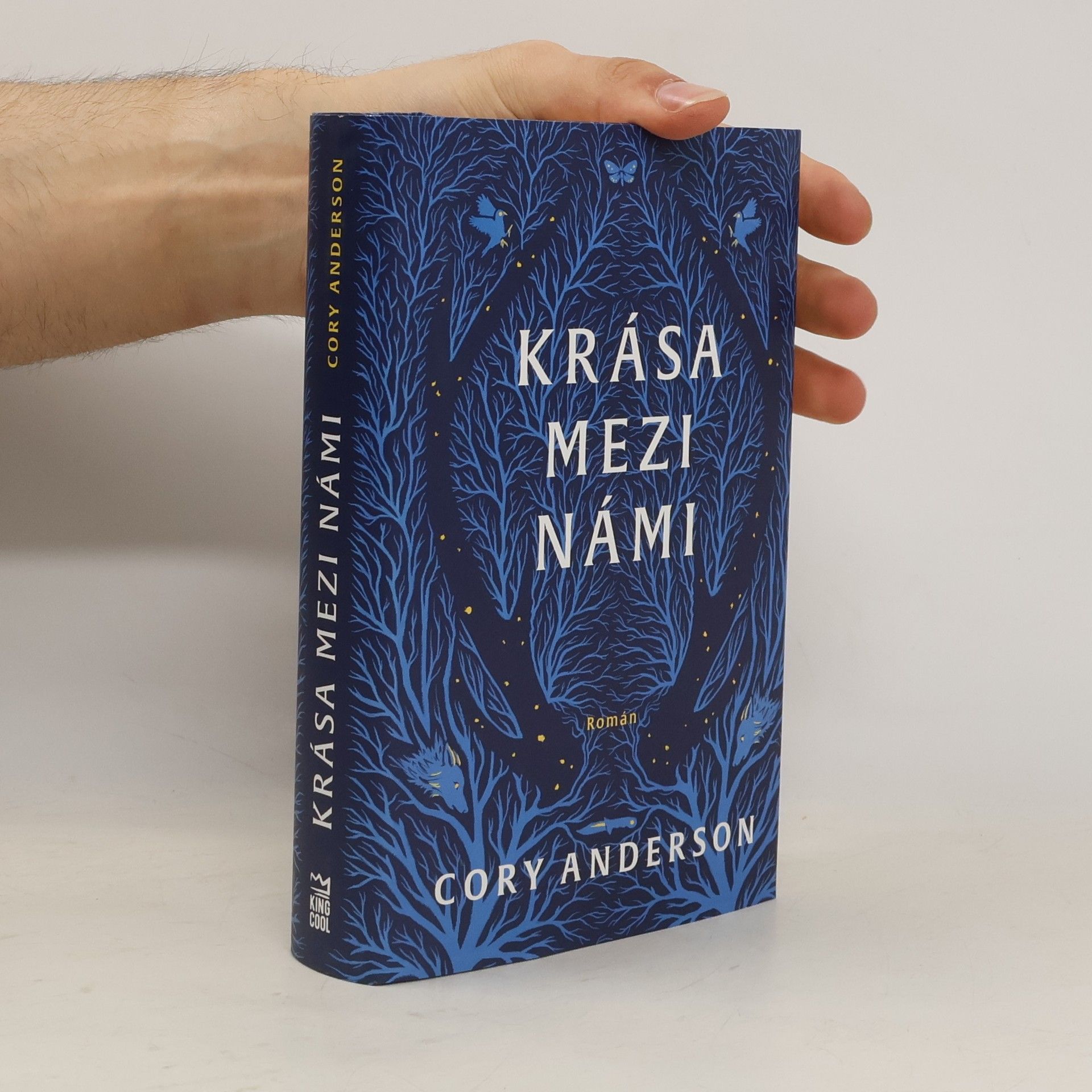 Cory L. Anderson Krása mezi námi