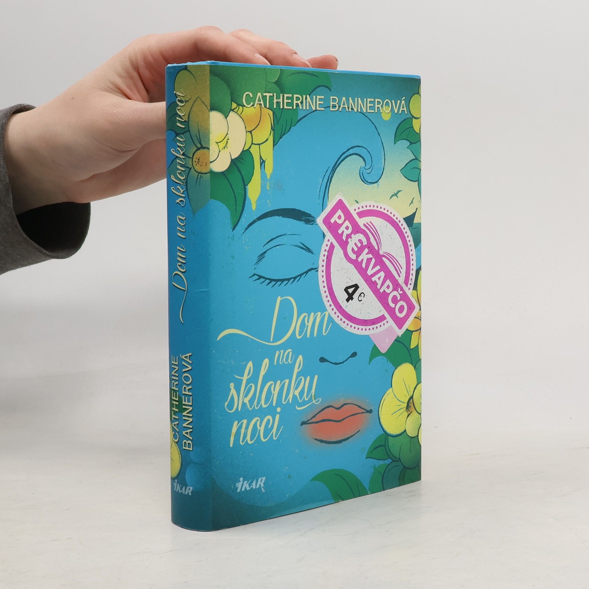 Catherine Banner Dom na sklonku noci