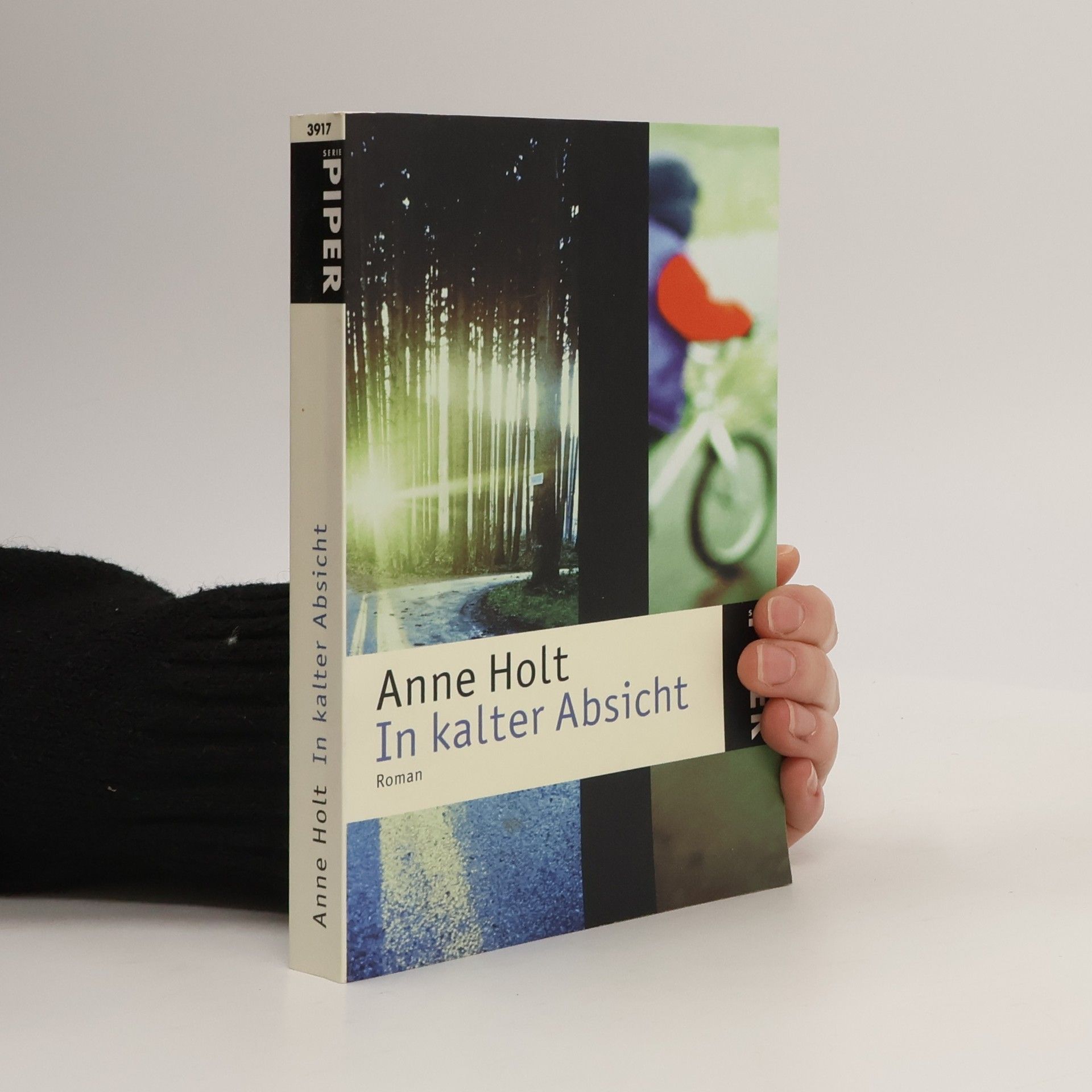 Anne Holt In kalter Absicht
