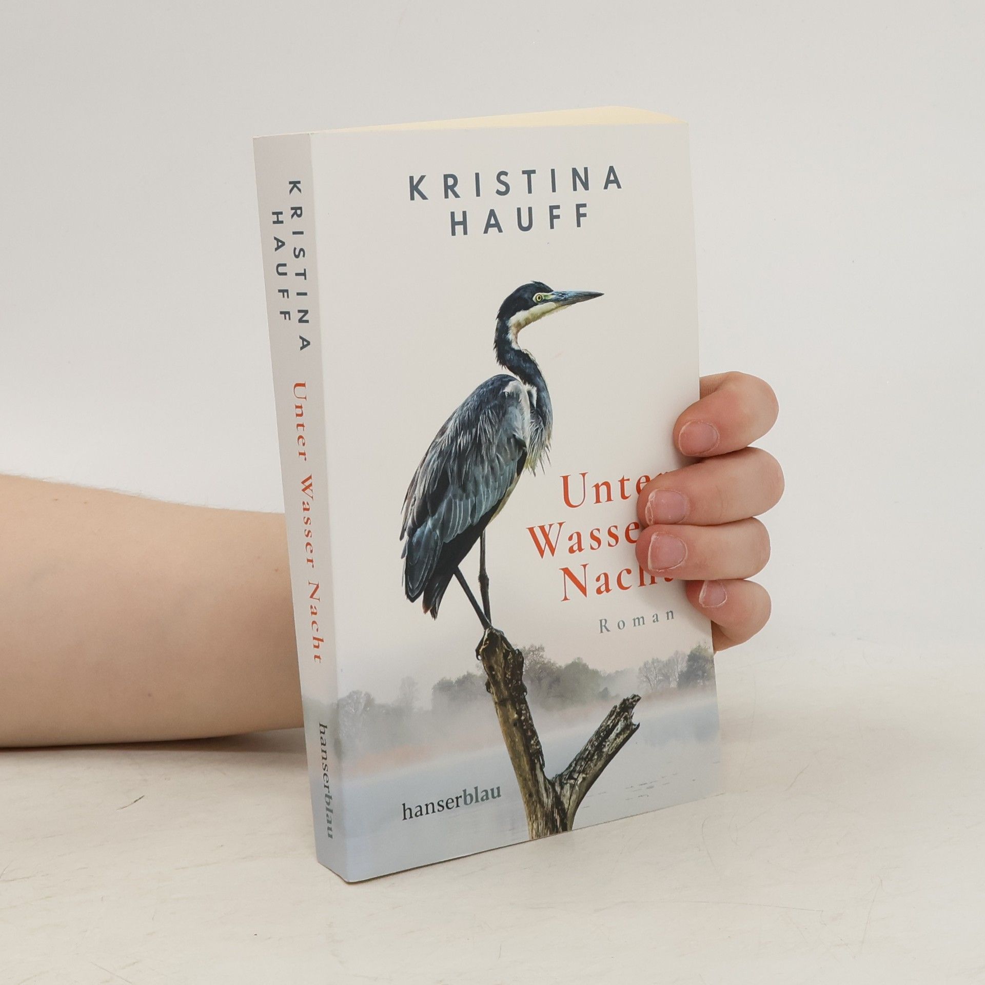 Kristina Hauff Unter Wasser Nacht