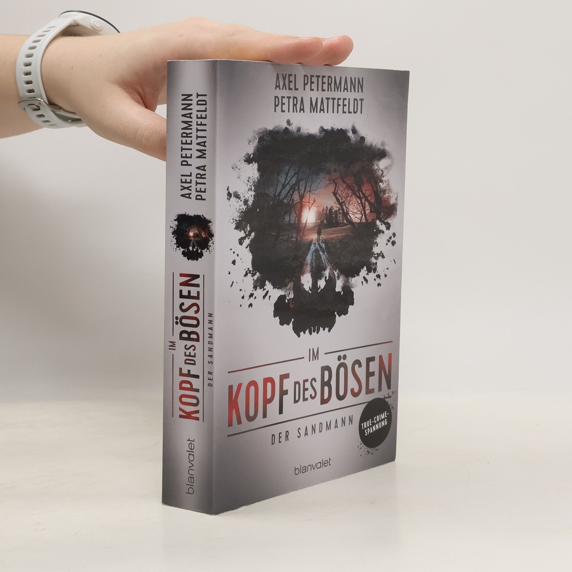 Axel Petermann Im Kopf des Bösen - Der Sandmann