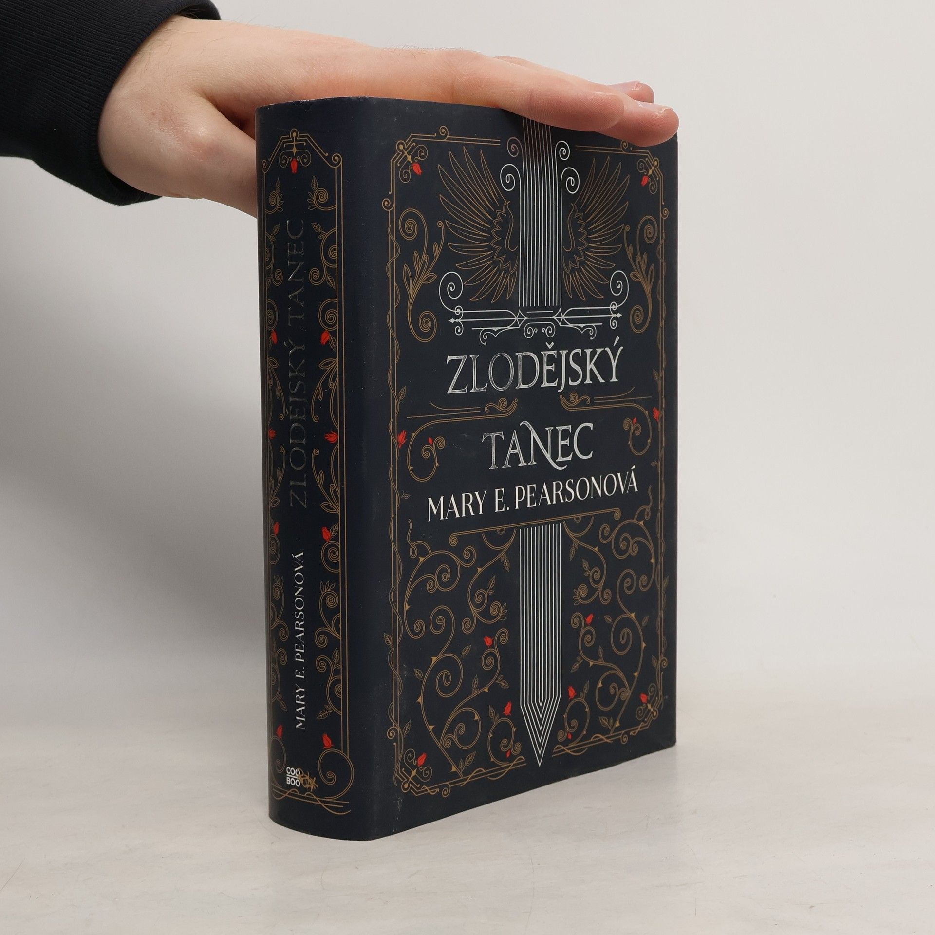 Mary E. Pearson Zlodějský tanec