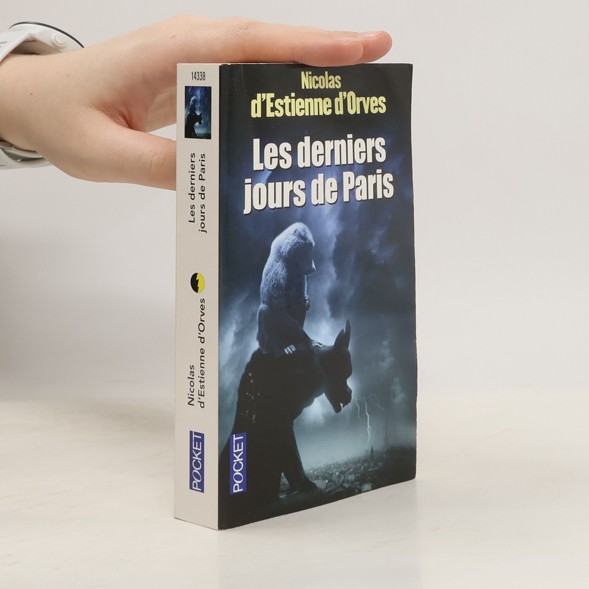 Nicolas d'Estienne d'Orves Les derniers jours de Paris