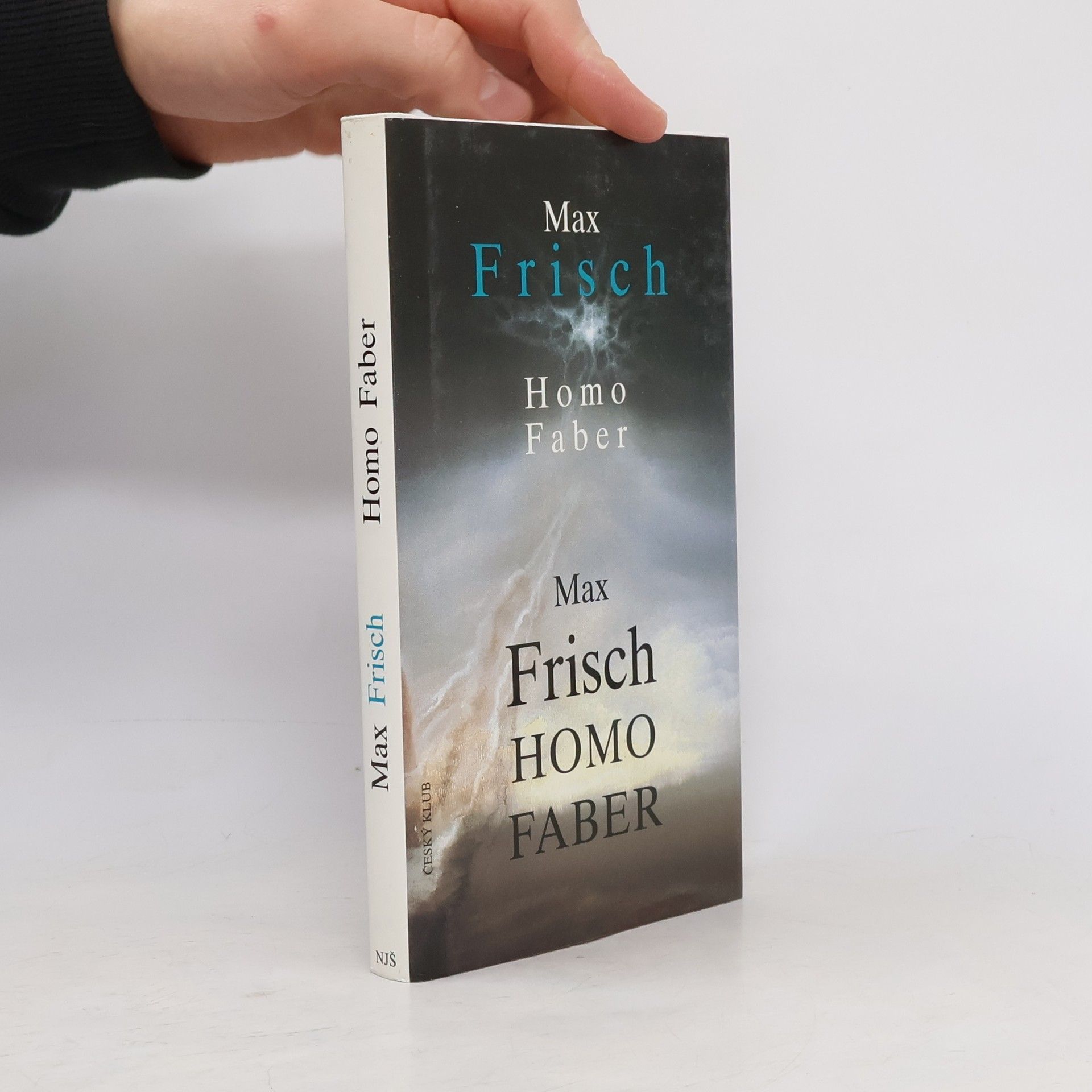 Max Frisch Homo Faber