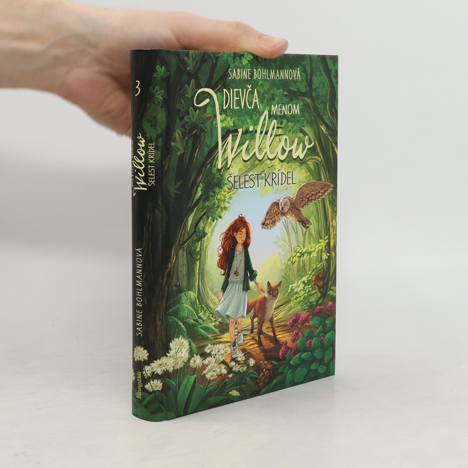 Sabine Bohlmann Dievča menom Willow 3: Šelest krídel