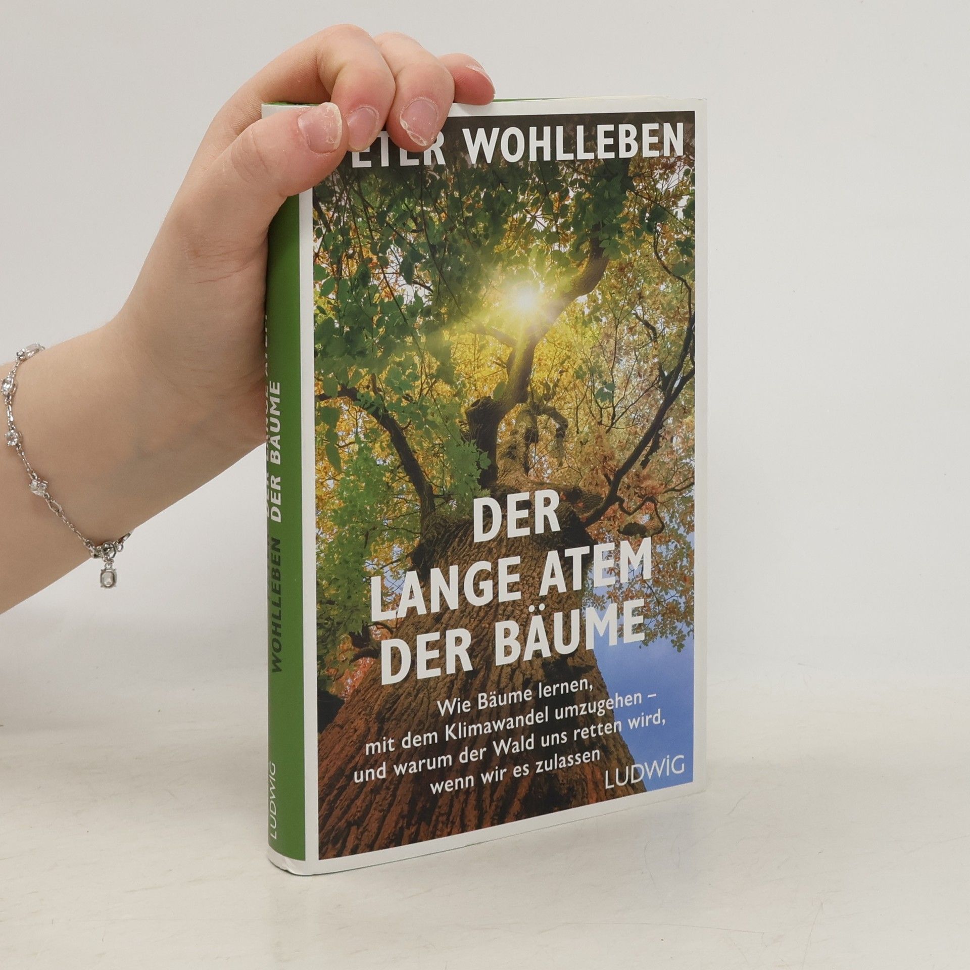 Der lange Atem der Bäume