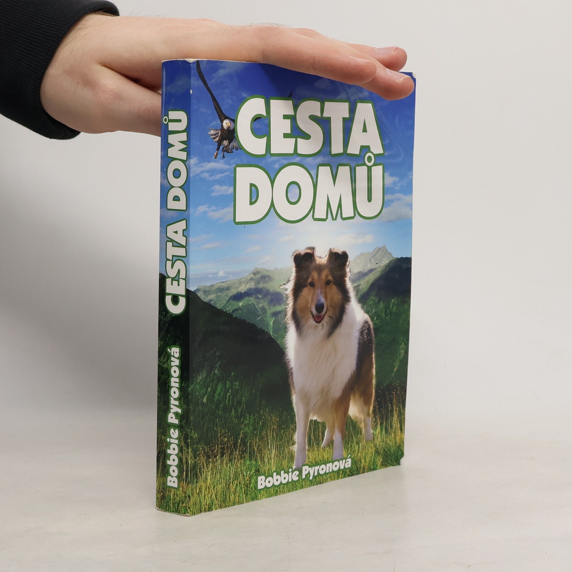 Bobbie Pyron Cesta domů