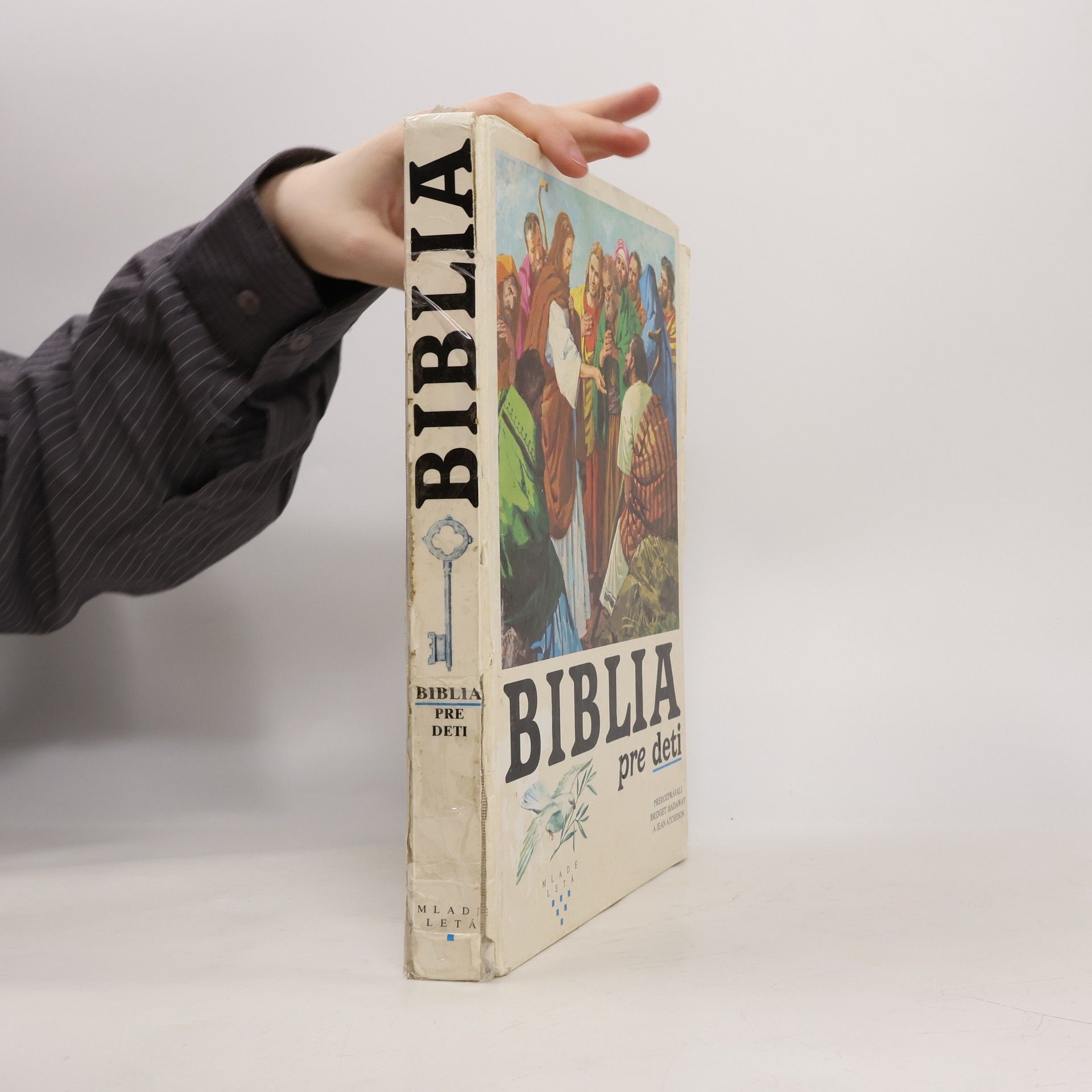 Bridget Hadaway Bible pro děti