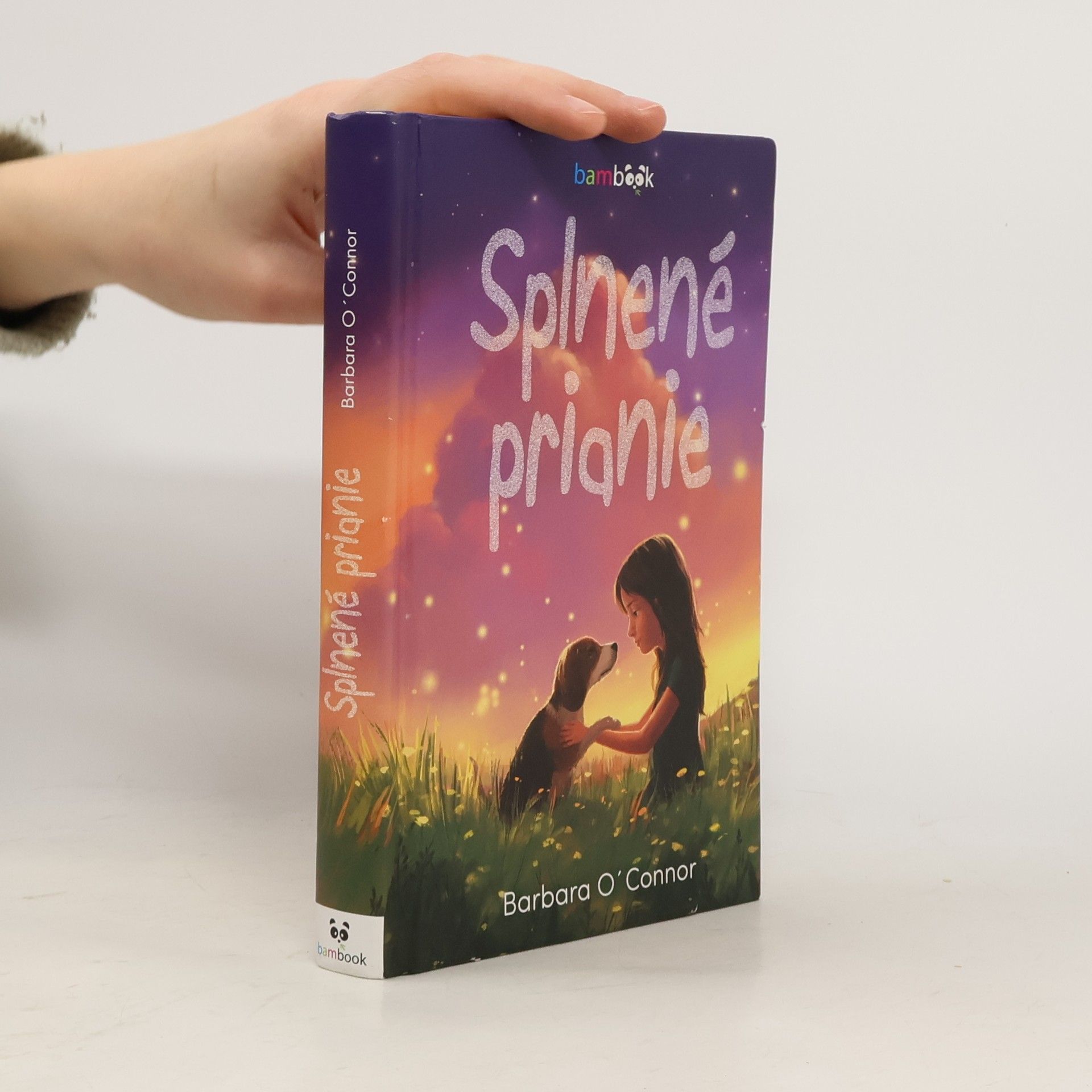 Barbara O'Connor Splnené prianie