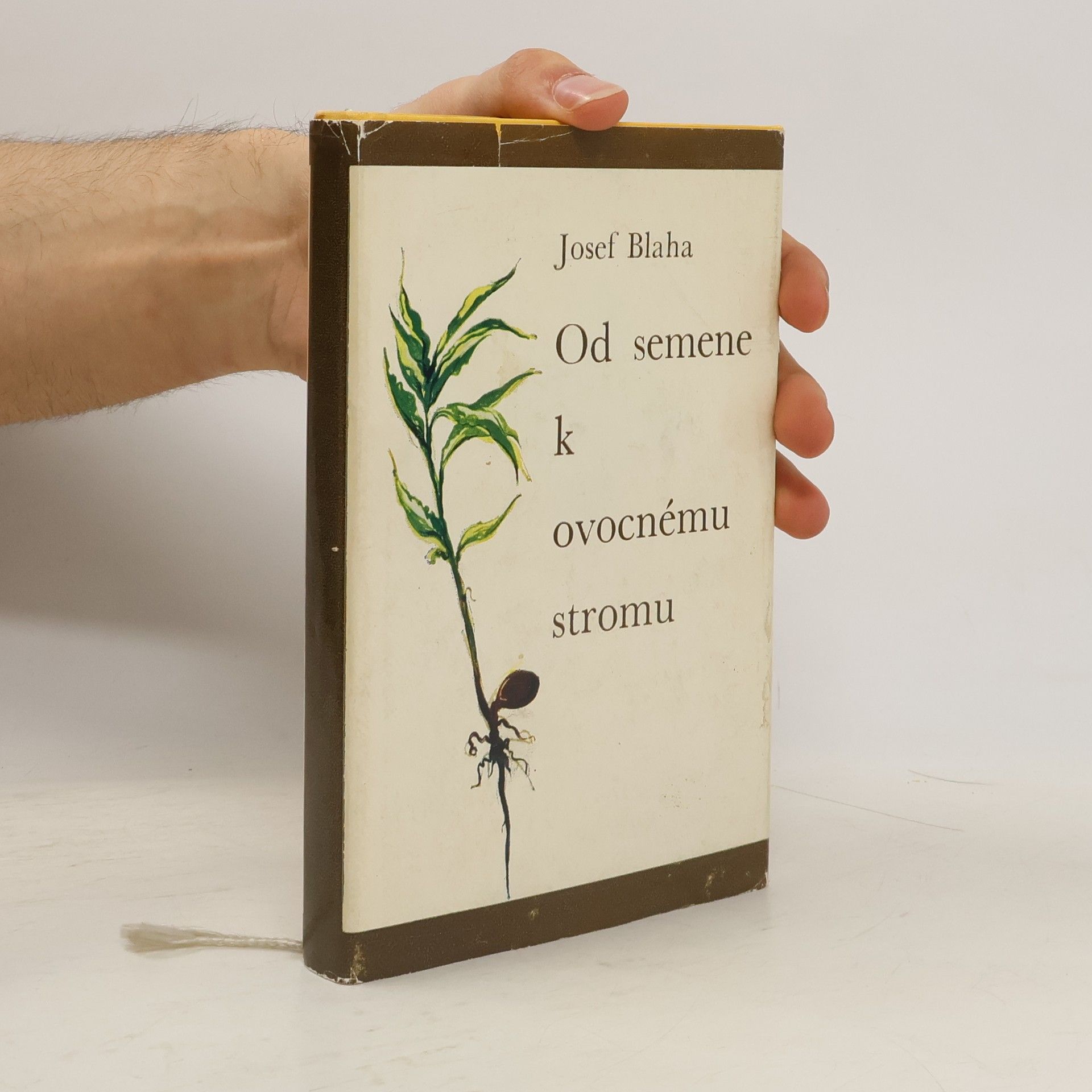Josef Blaha Od semene k ovocnému stromu