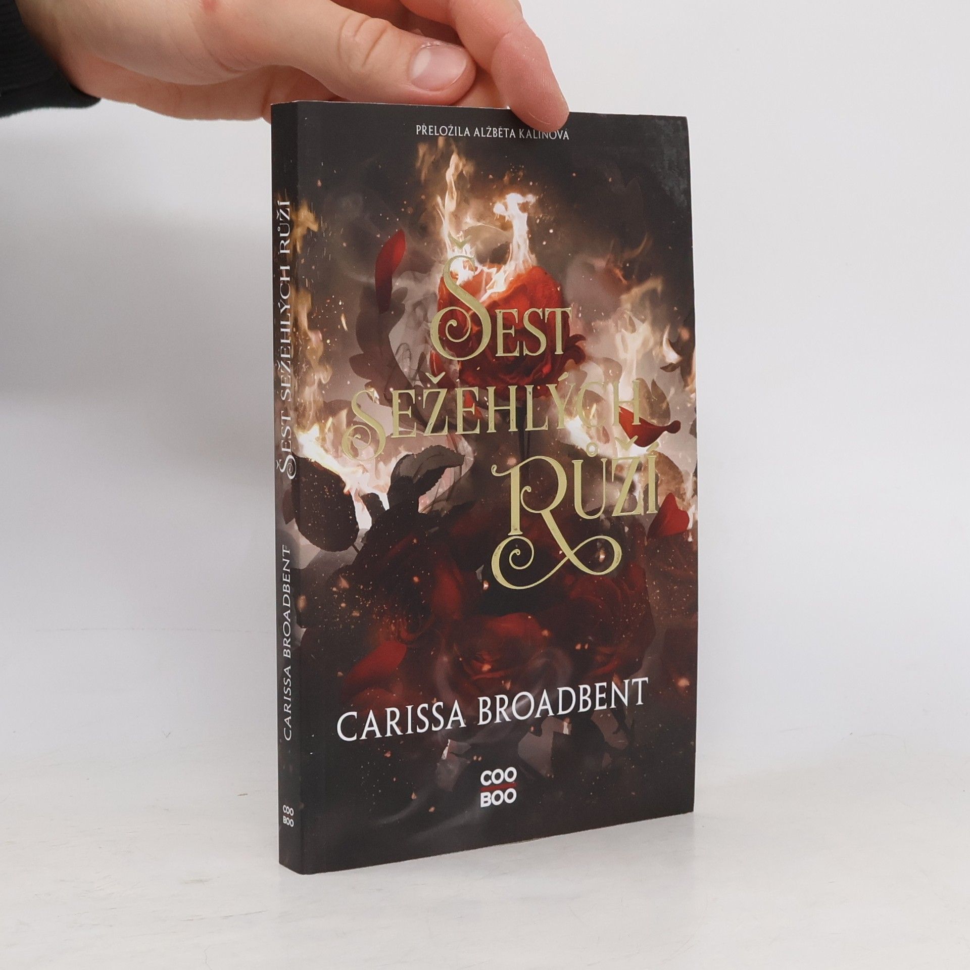 Carissa Broadbent Šest sežehlých růží