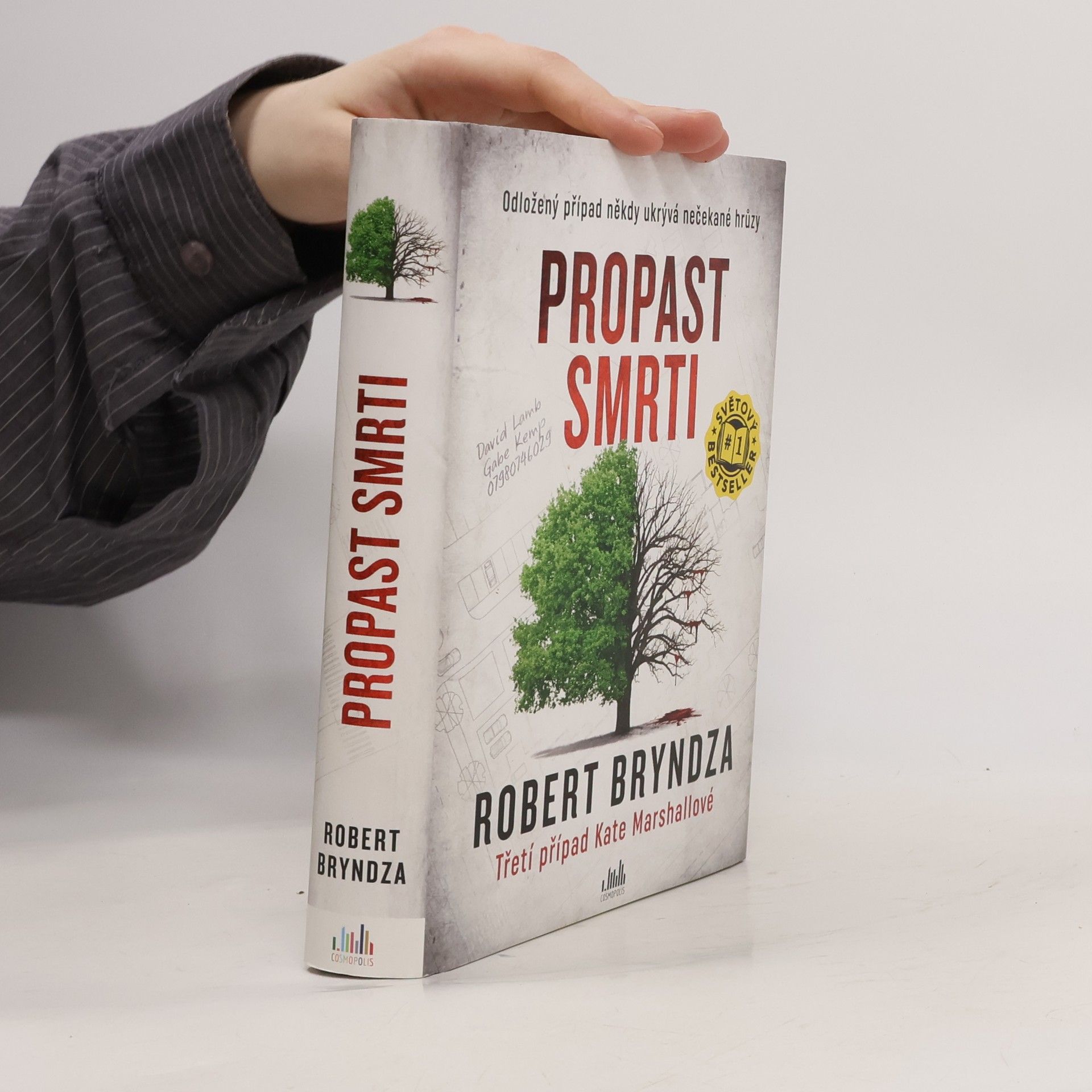 Robert Bryndza Propast smrti