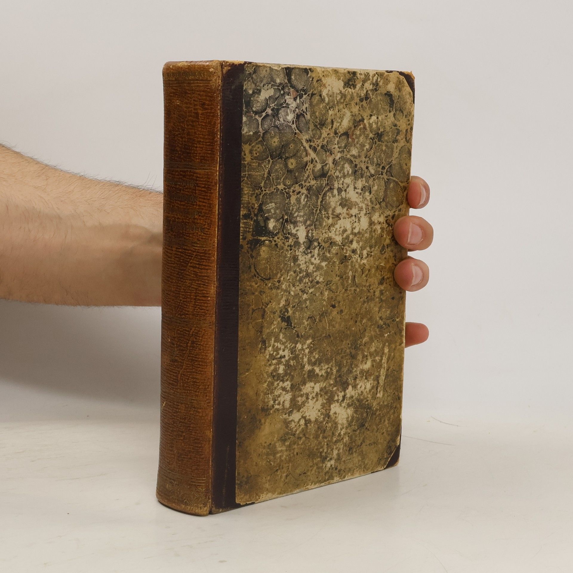 Moriz Von Stubenrauch Handbuch der oesterreichischen Verwaltungs-Gesetzkunde II.