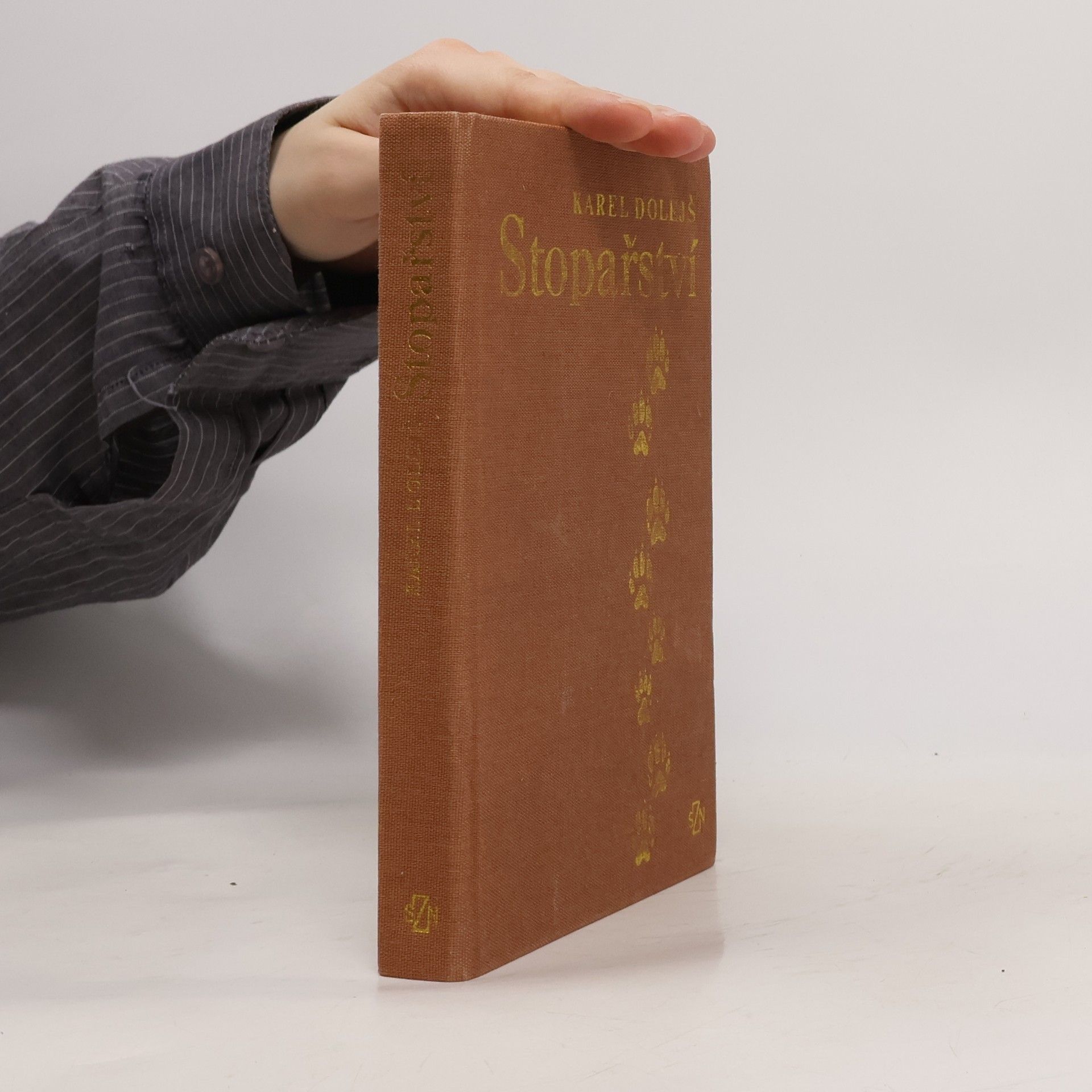 Karel Dolejš Stopařství