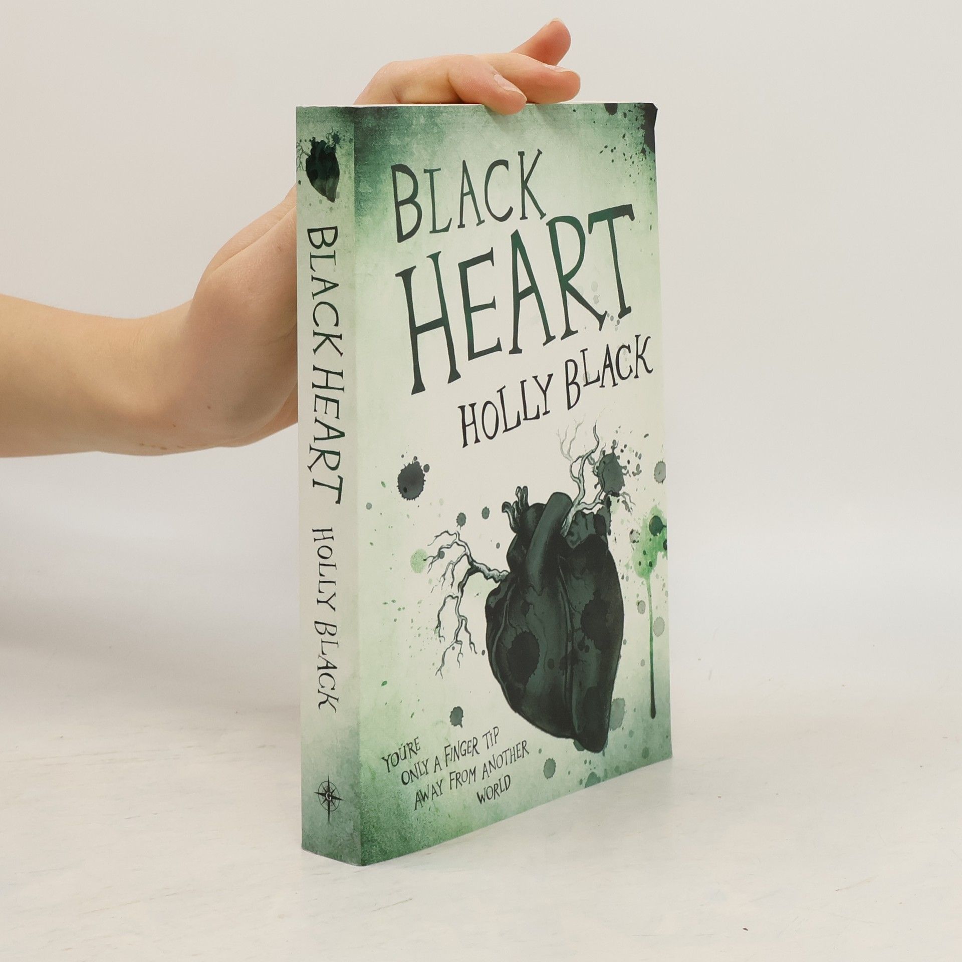 Holly Black Black Heart