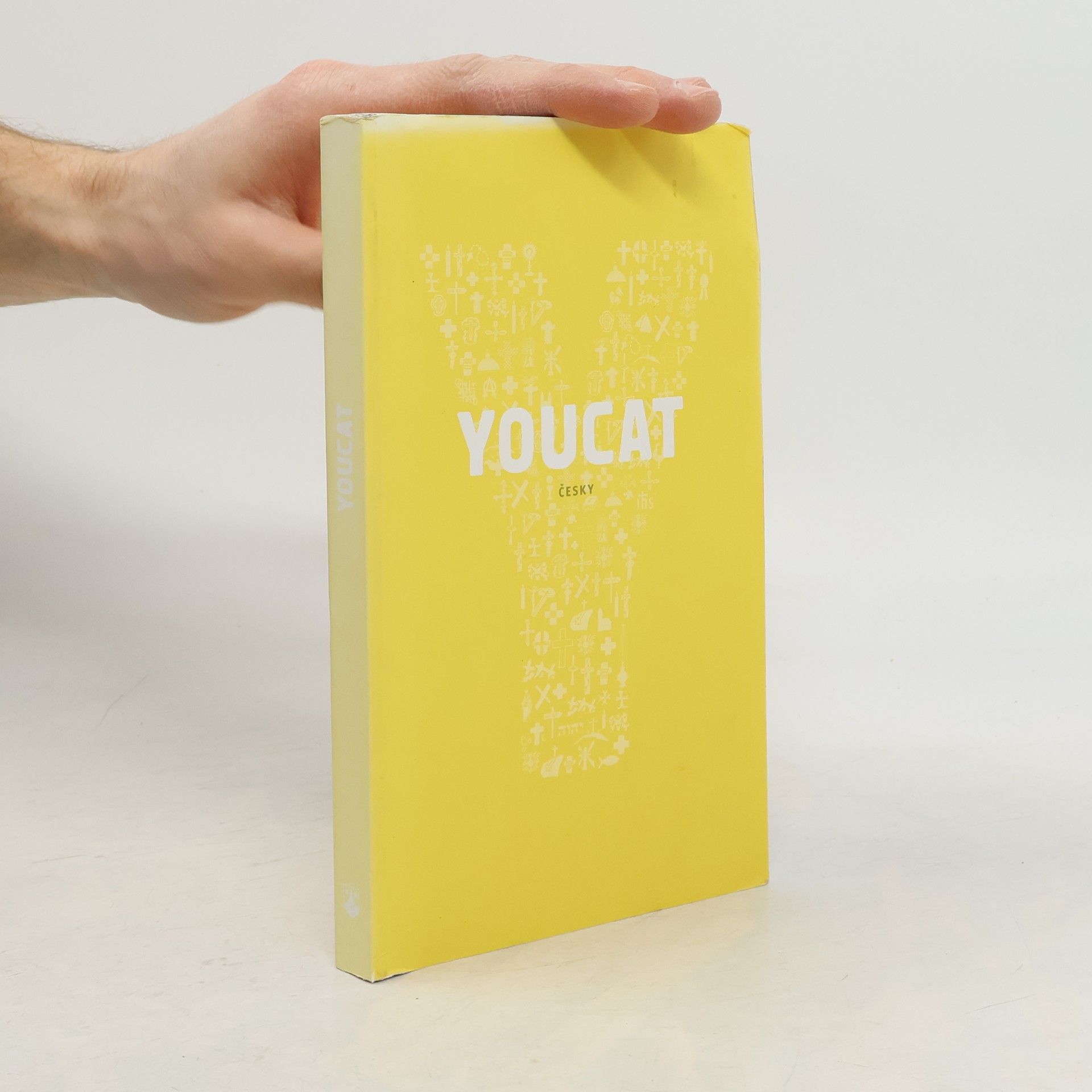 Collectif d'auteurs Youcat: katechismus katolické církve pro mladé