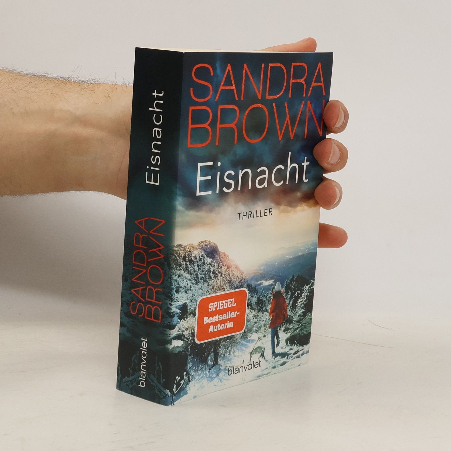 Sandra Brown Eisnacht