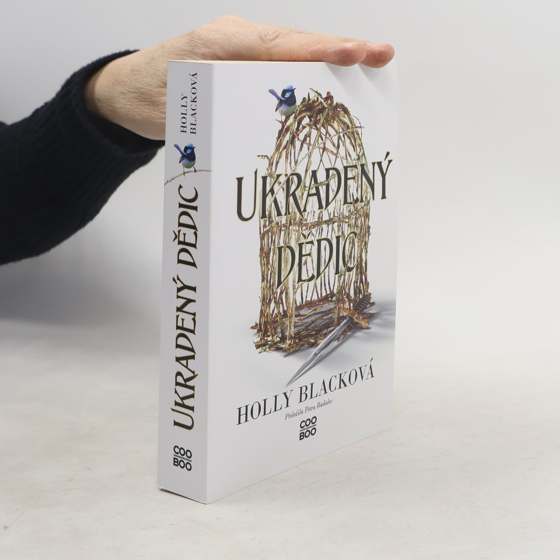 Holly Black Ukradený dědic