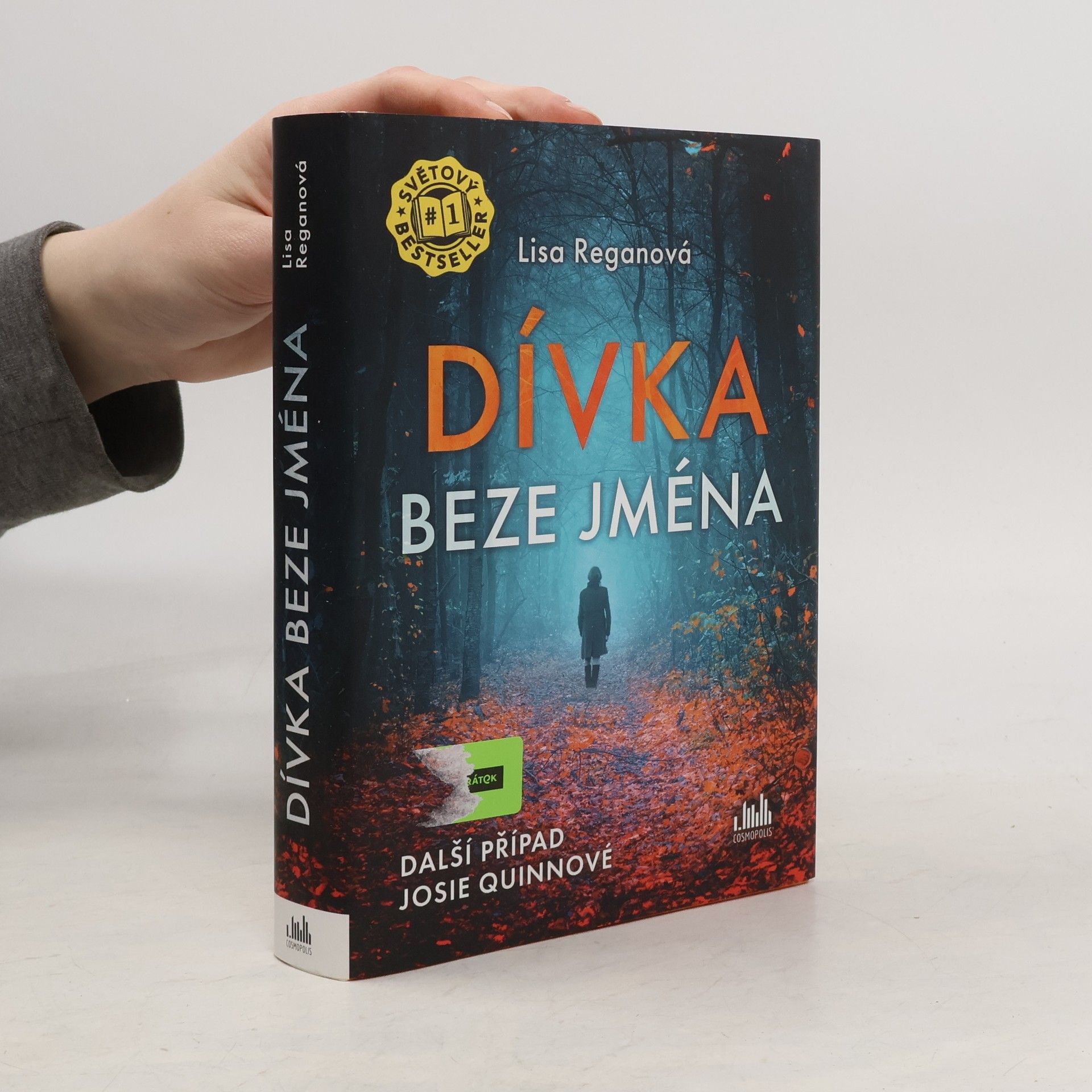 Lisa Regan Dívka beze jména: Další případ Josie Quinnové