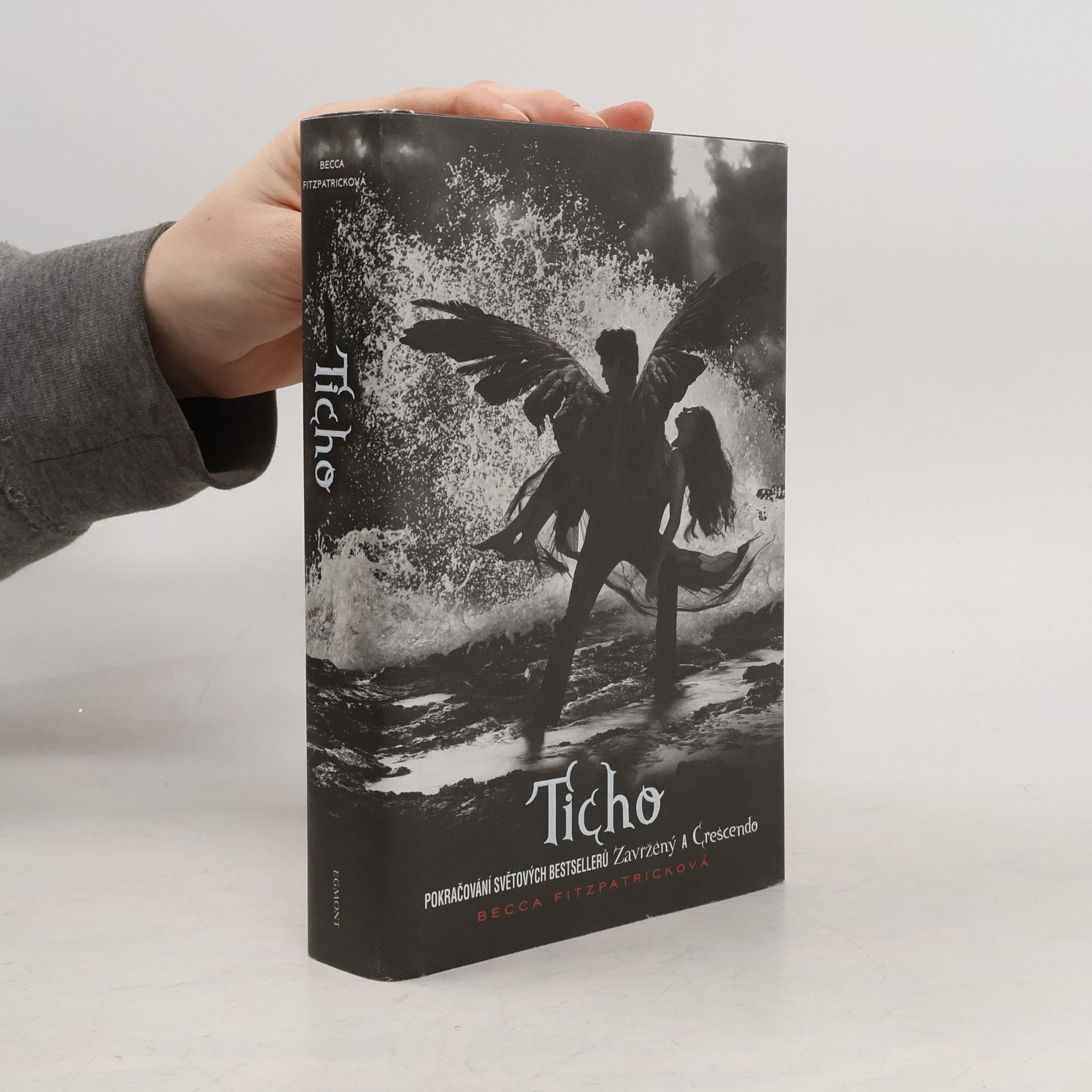 Becca Fitzpatricková Ticho