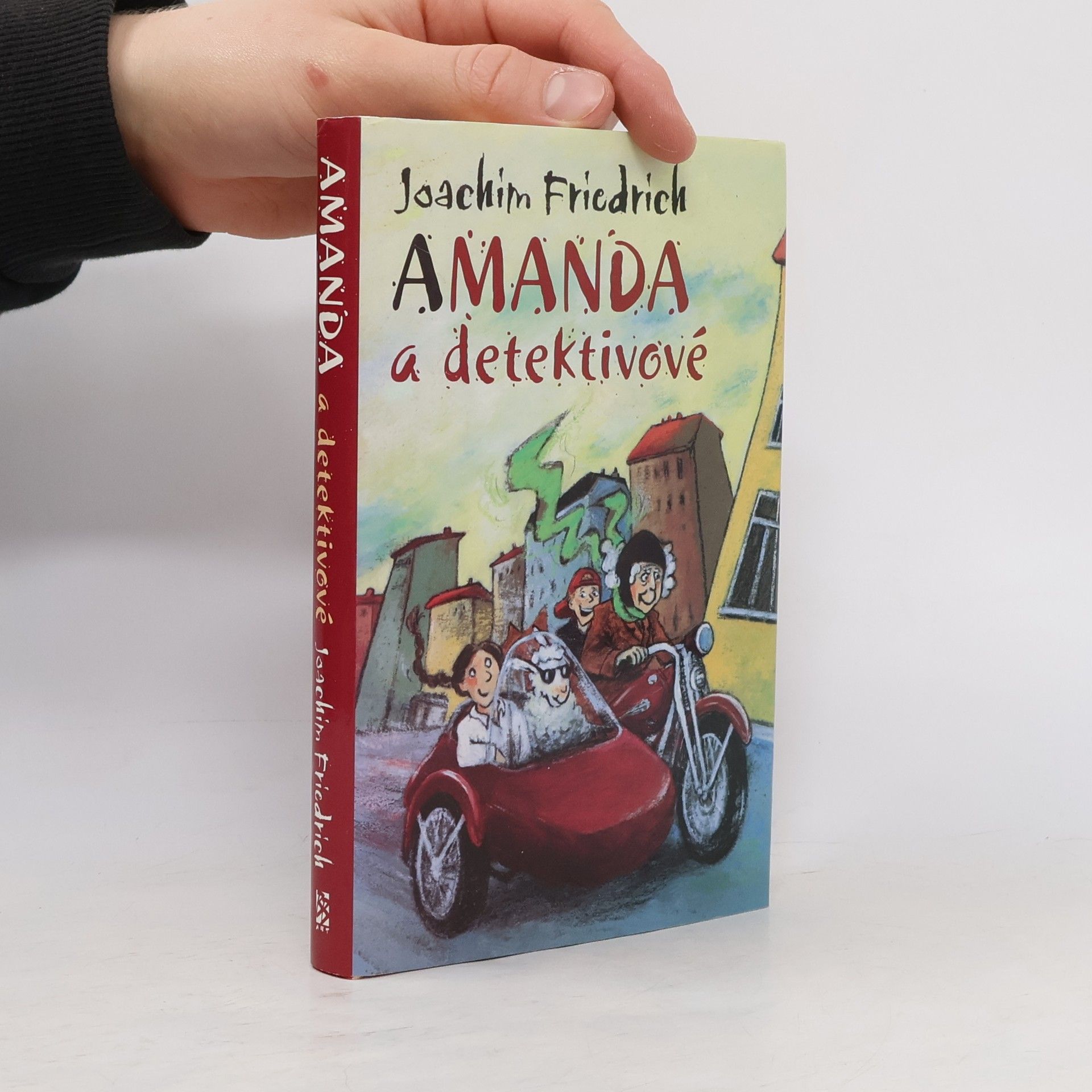 Joachim-Friedrich Kapp Amanda a detektivové