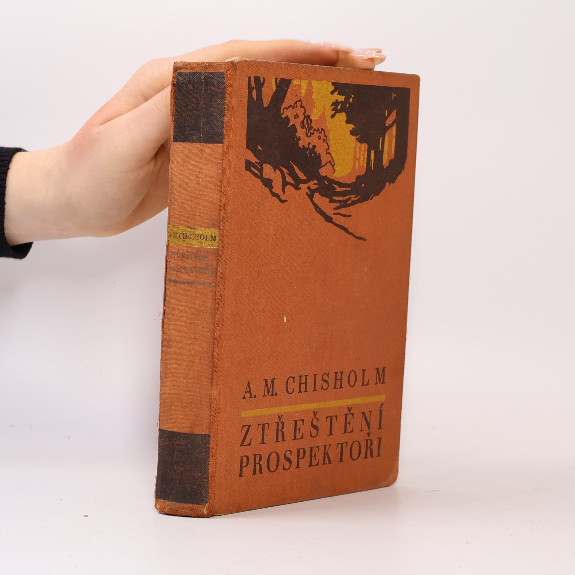 Chisholm A. M. Ztřeštění prospektoři