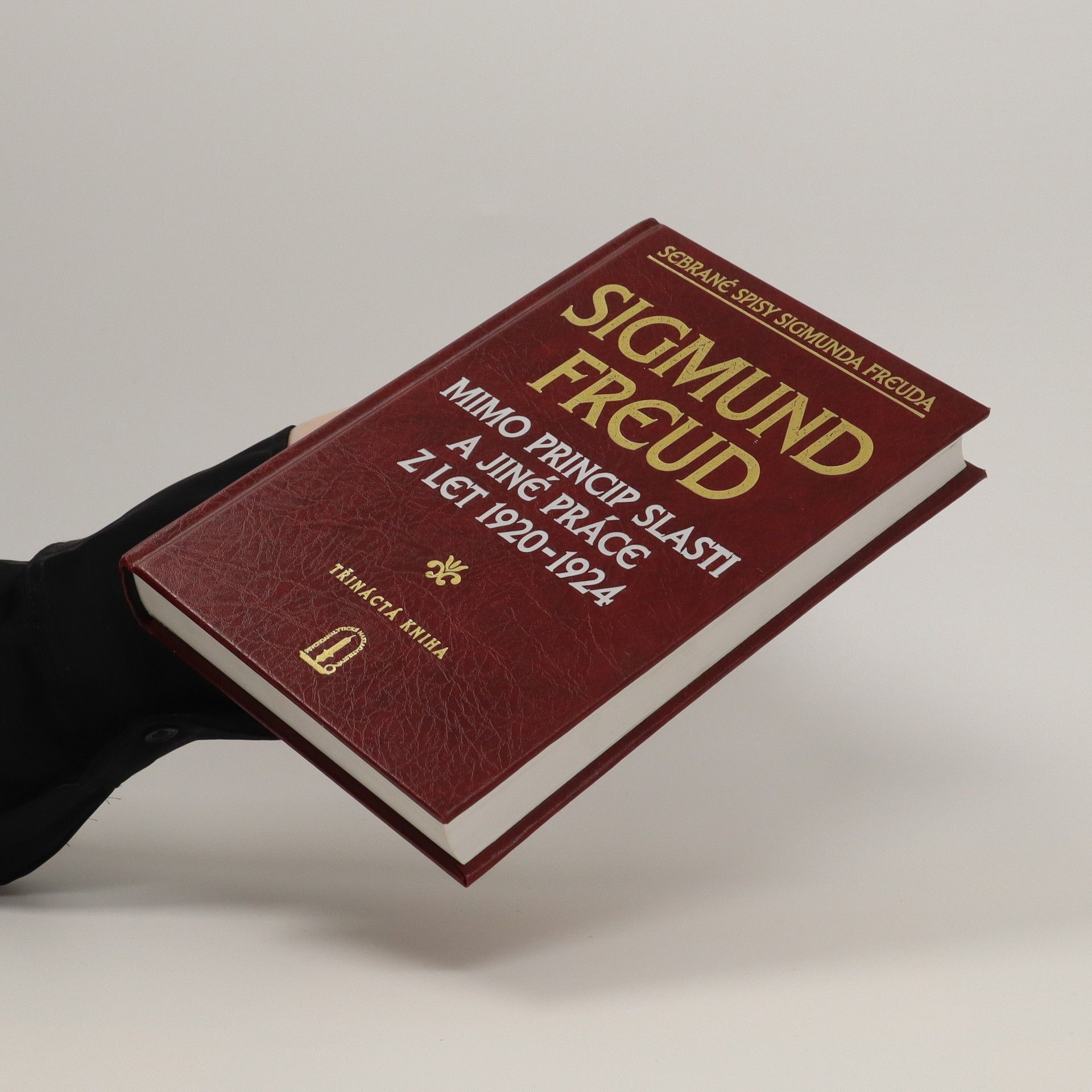 Sigmund Freud Mimo princip slasti a jiné práce z let 1920-1924