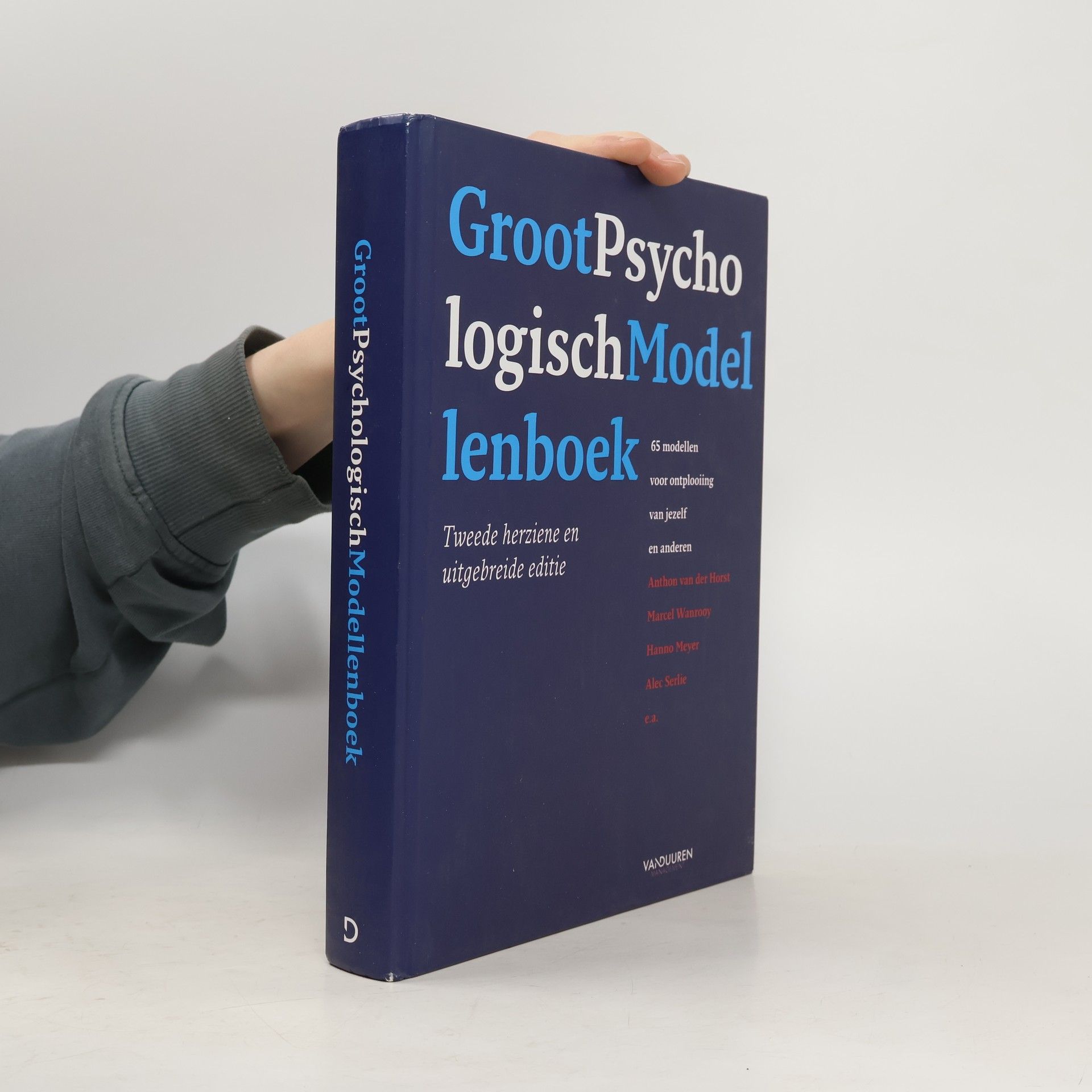 Anthon van der Horst Groot psychologisch modellenboek