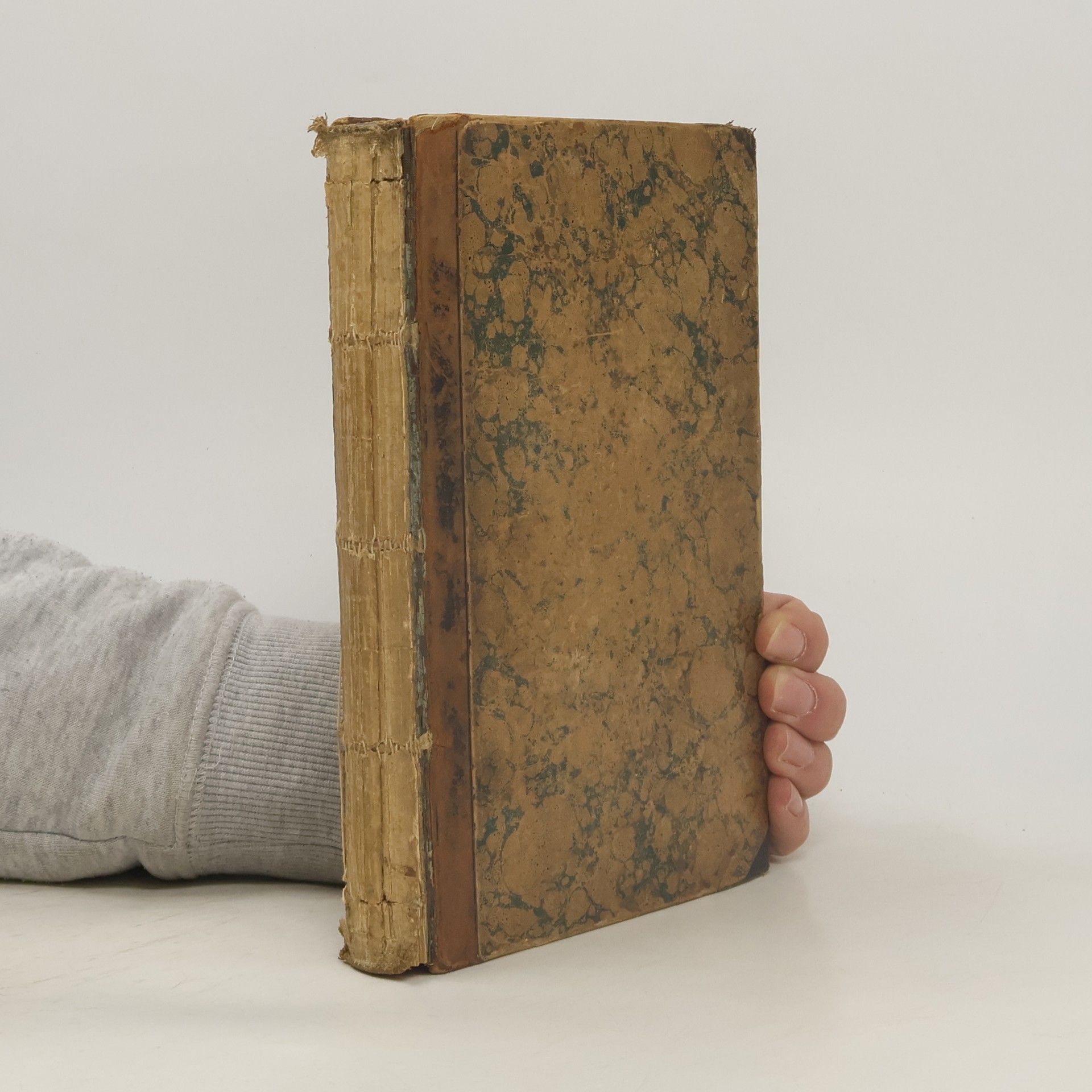 Eugenie Tafel Deutsches Hausfrauen-Buch