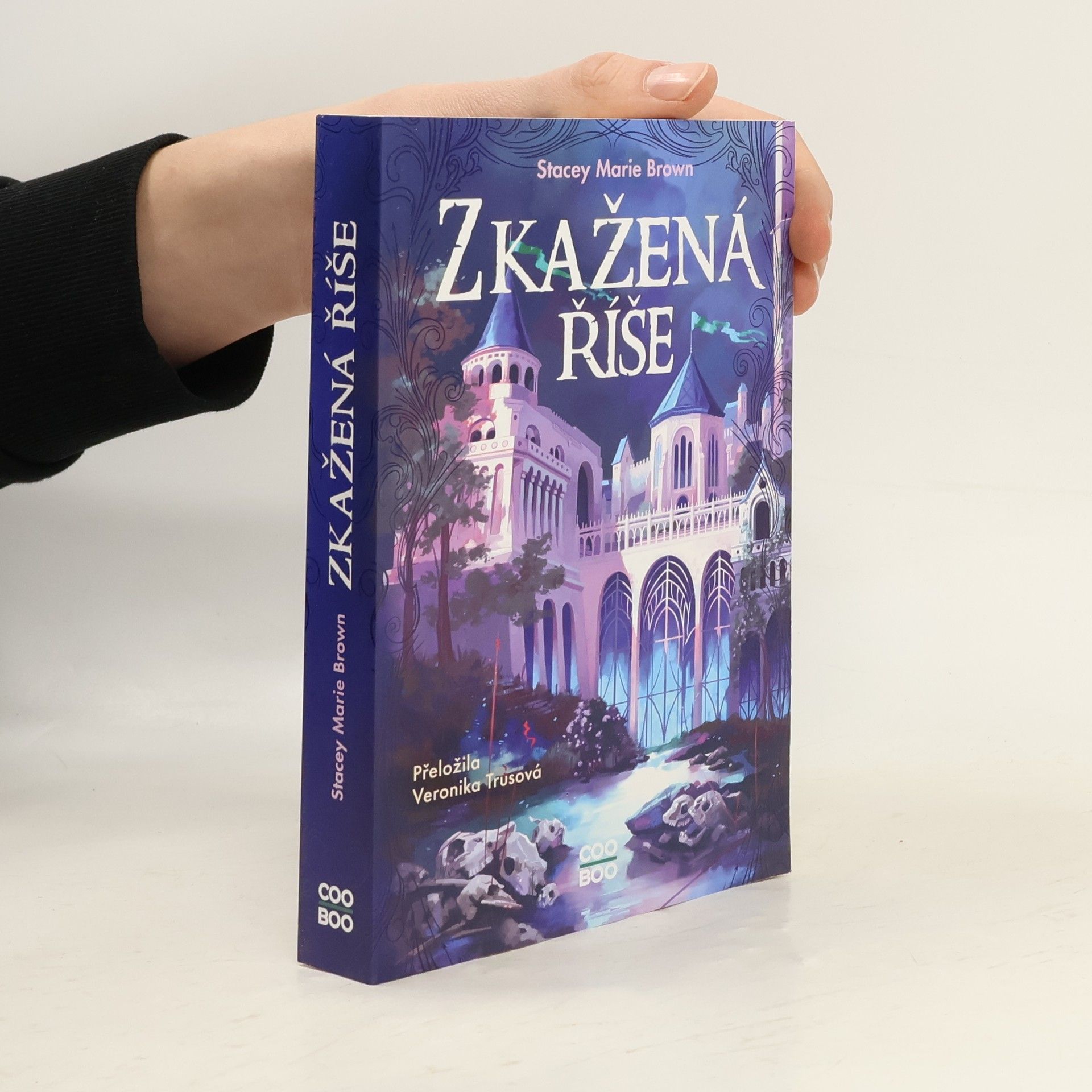 Stacey Marie Brown Zkažená říše