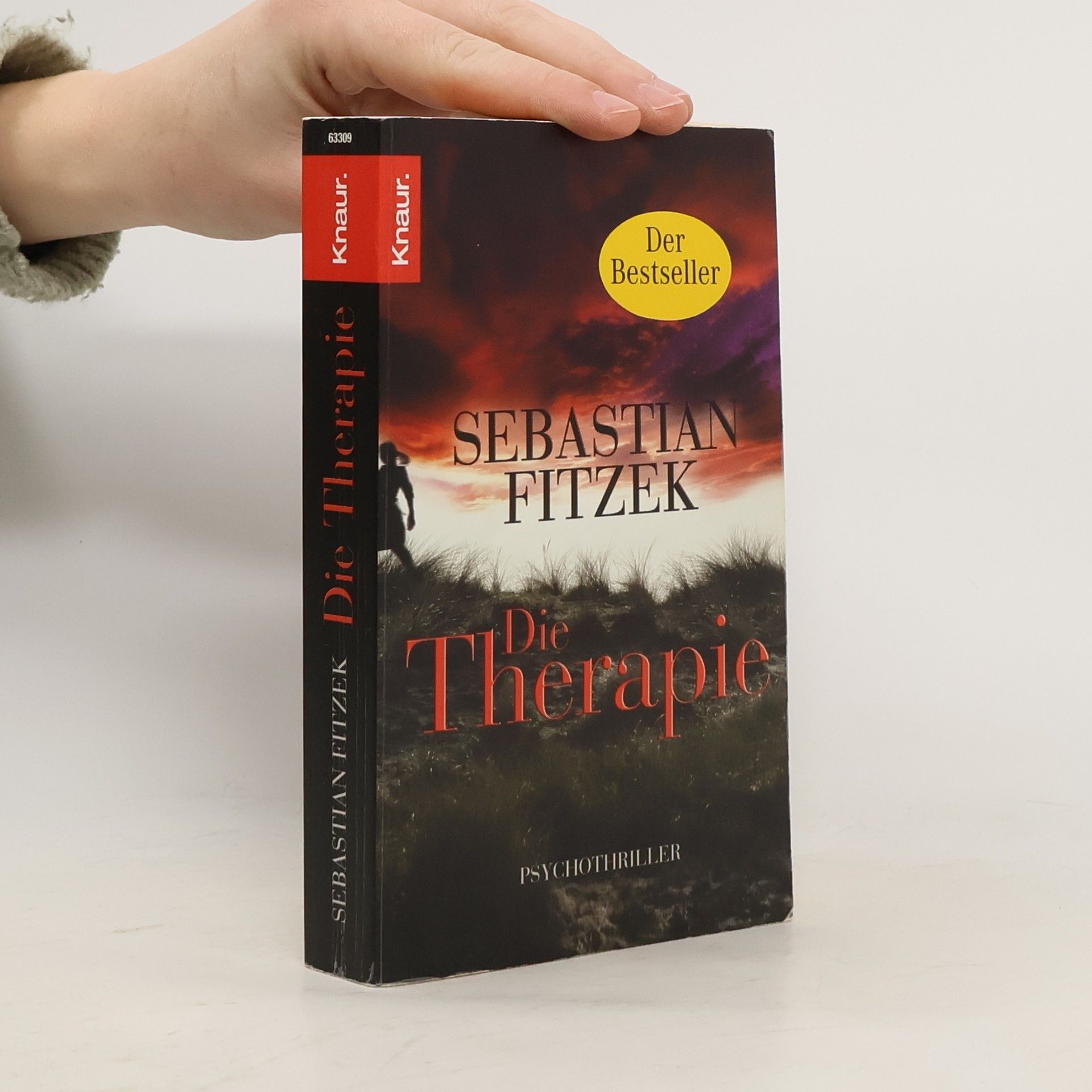 Sebastian Fitzek Die Therapie