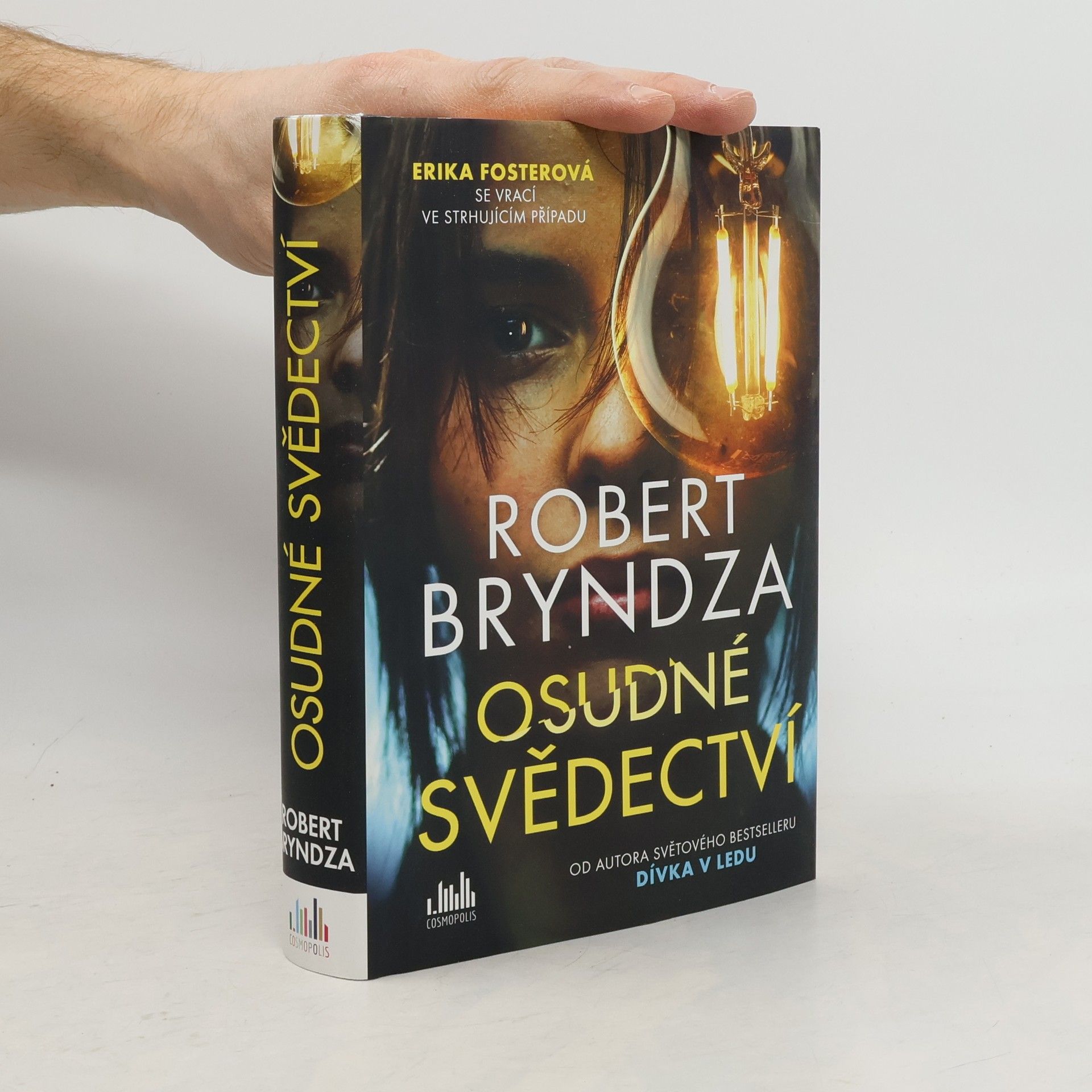 Robert Bryndza Osudné svědectví