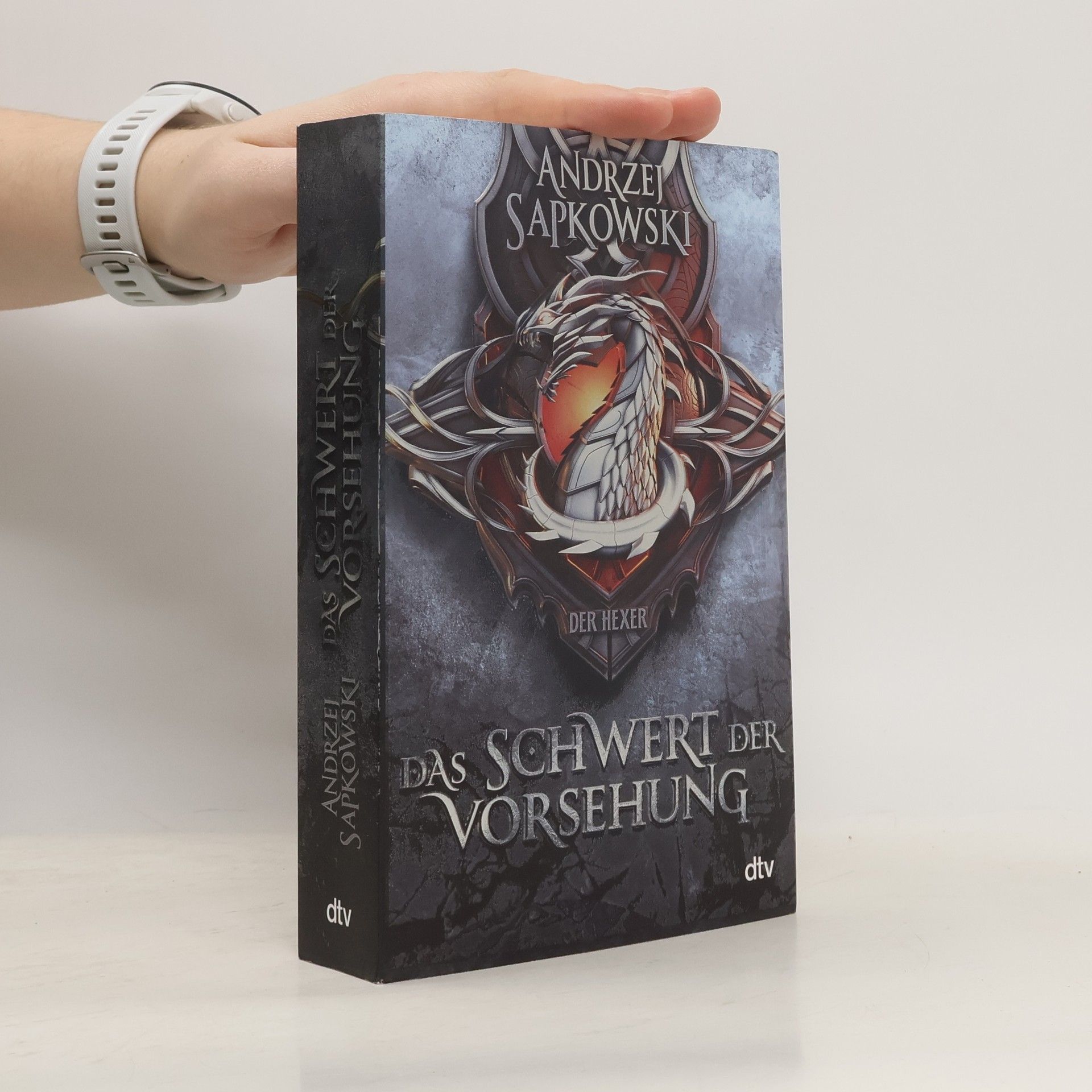 Andrzej Sapkowski Das Schwert der Vorsehung