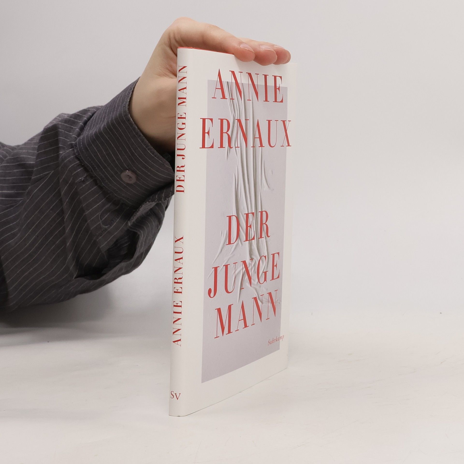 Annie Ernaux Der junge Mann